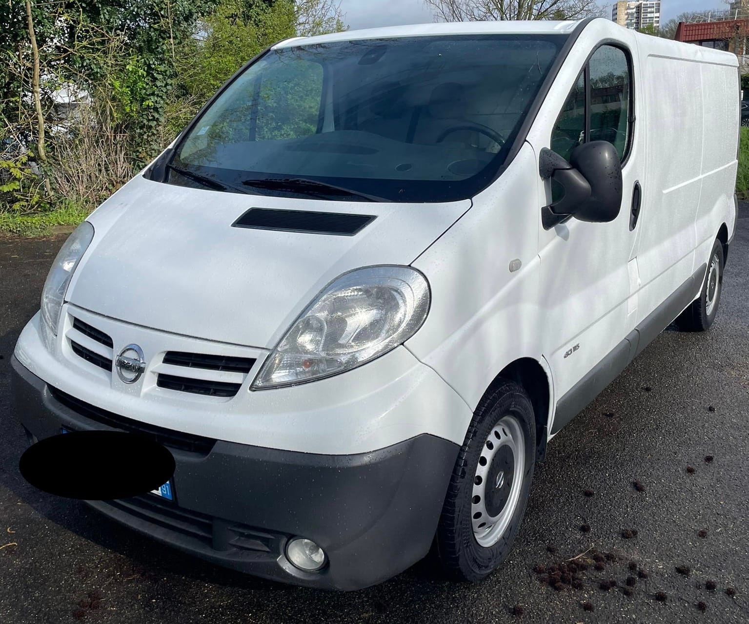 Nissan Primastar Fourgon, 2014, Diesel