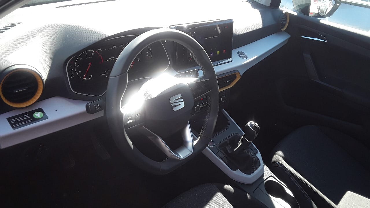 Seat Arona mit Tempomat
