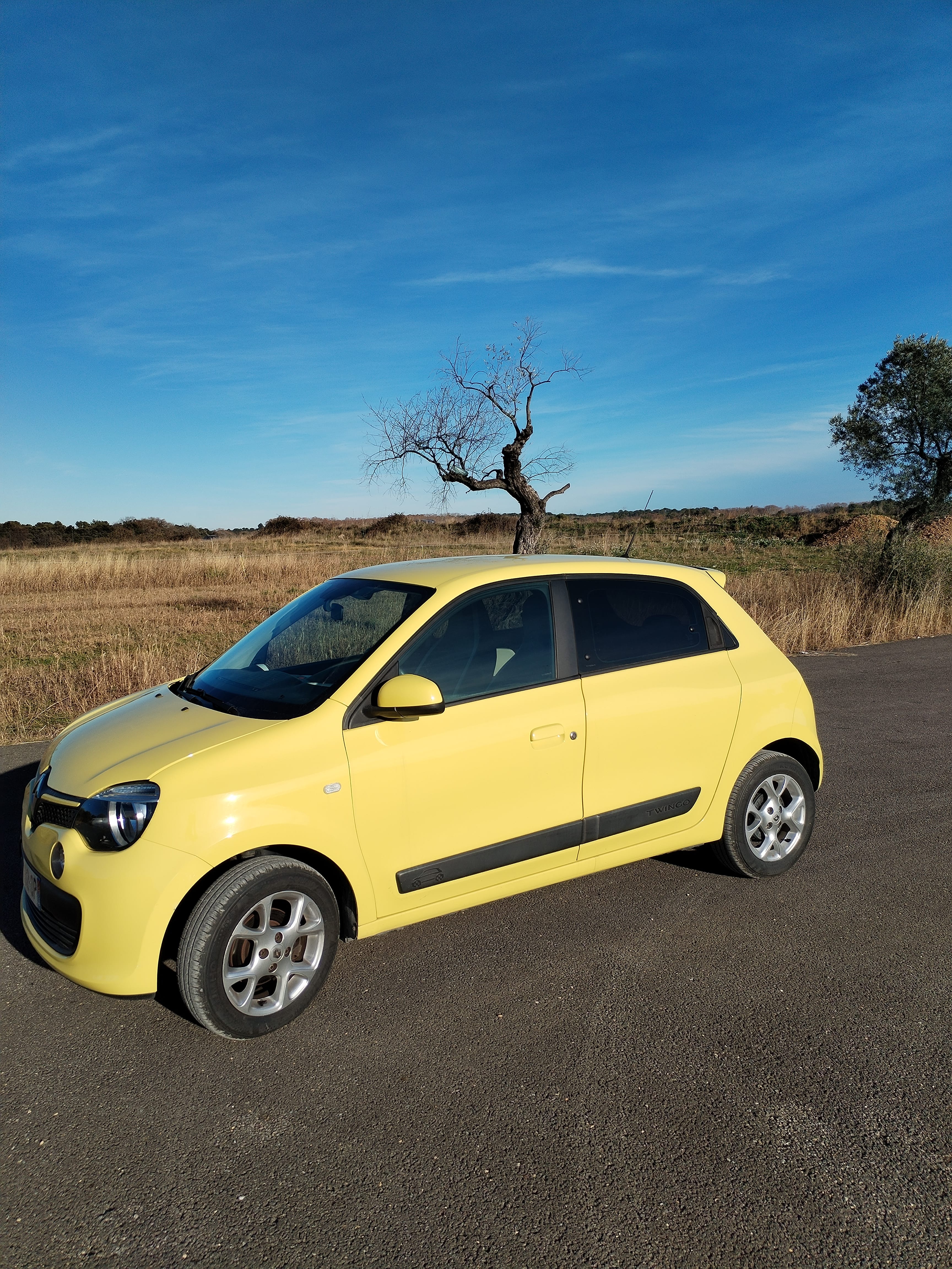 Renault Twingo III, 2014, Essence 95