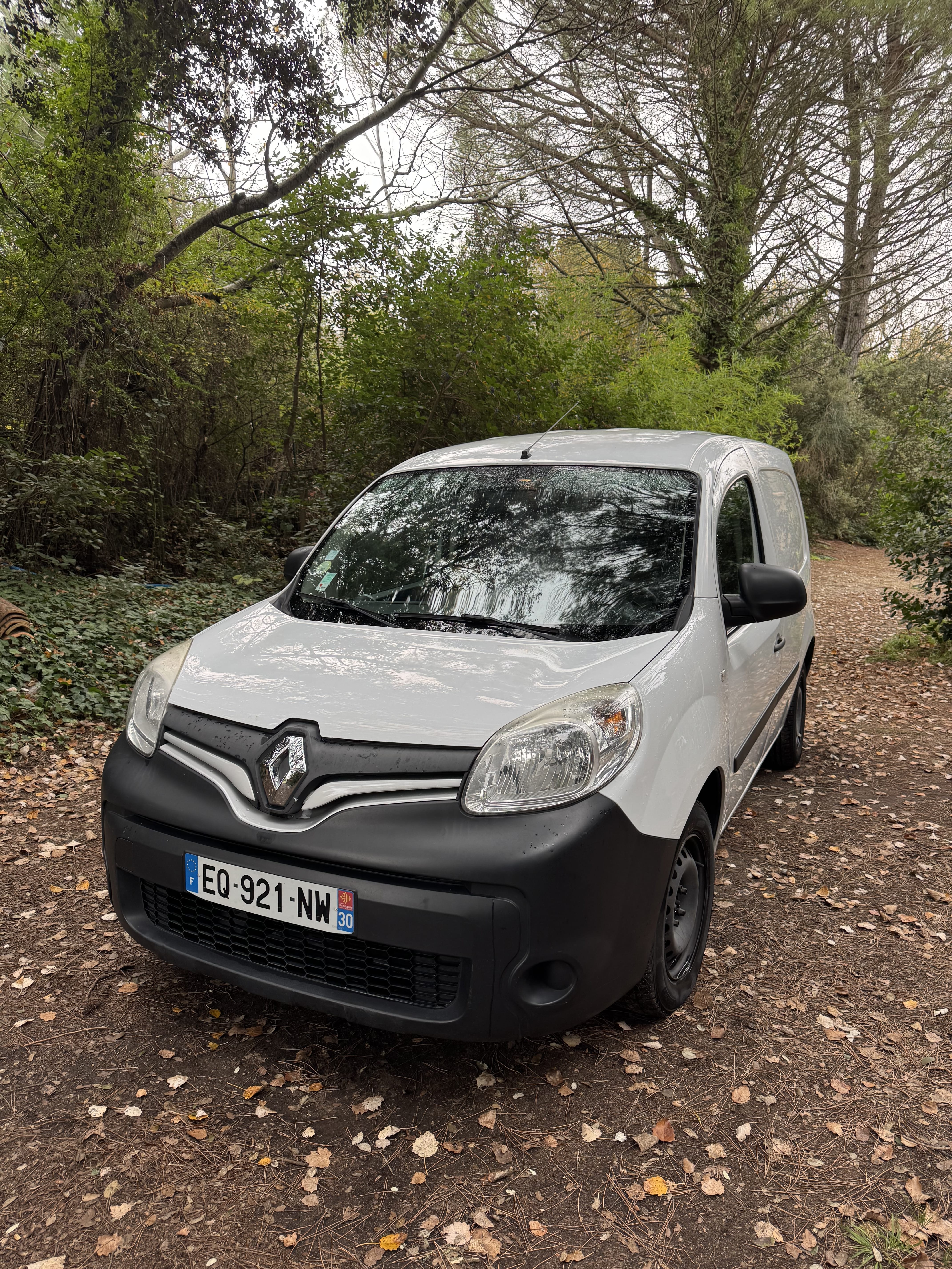 Renault Kangoo, 2017, Diesel