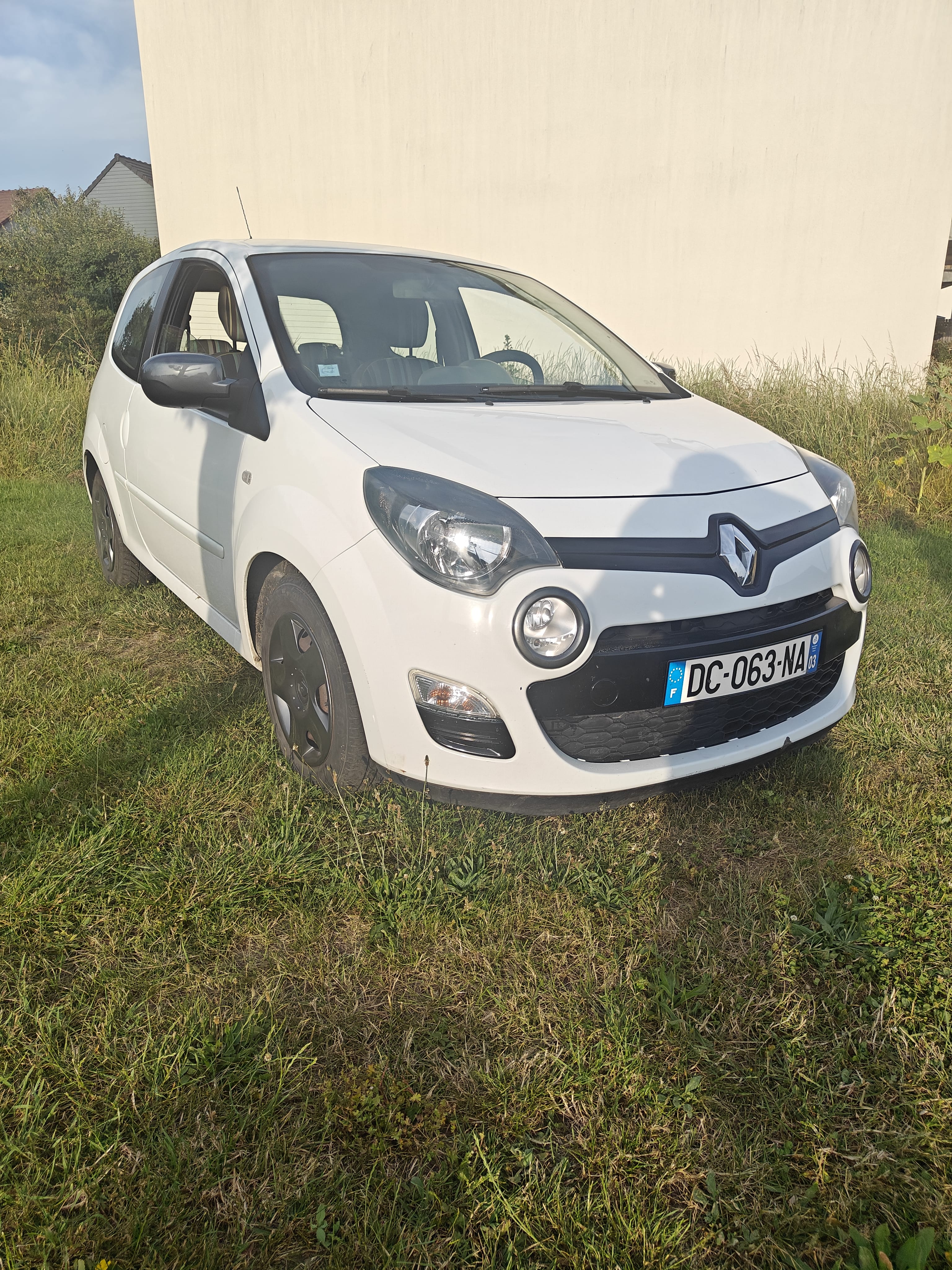 Renault Twingo II, 2014, Diesel