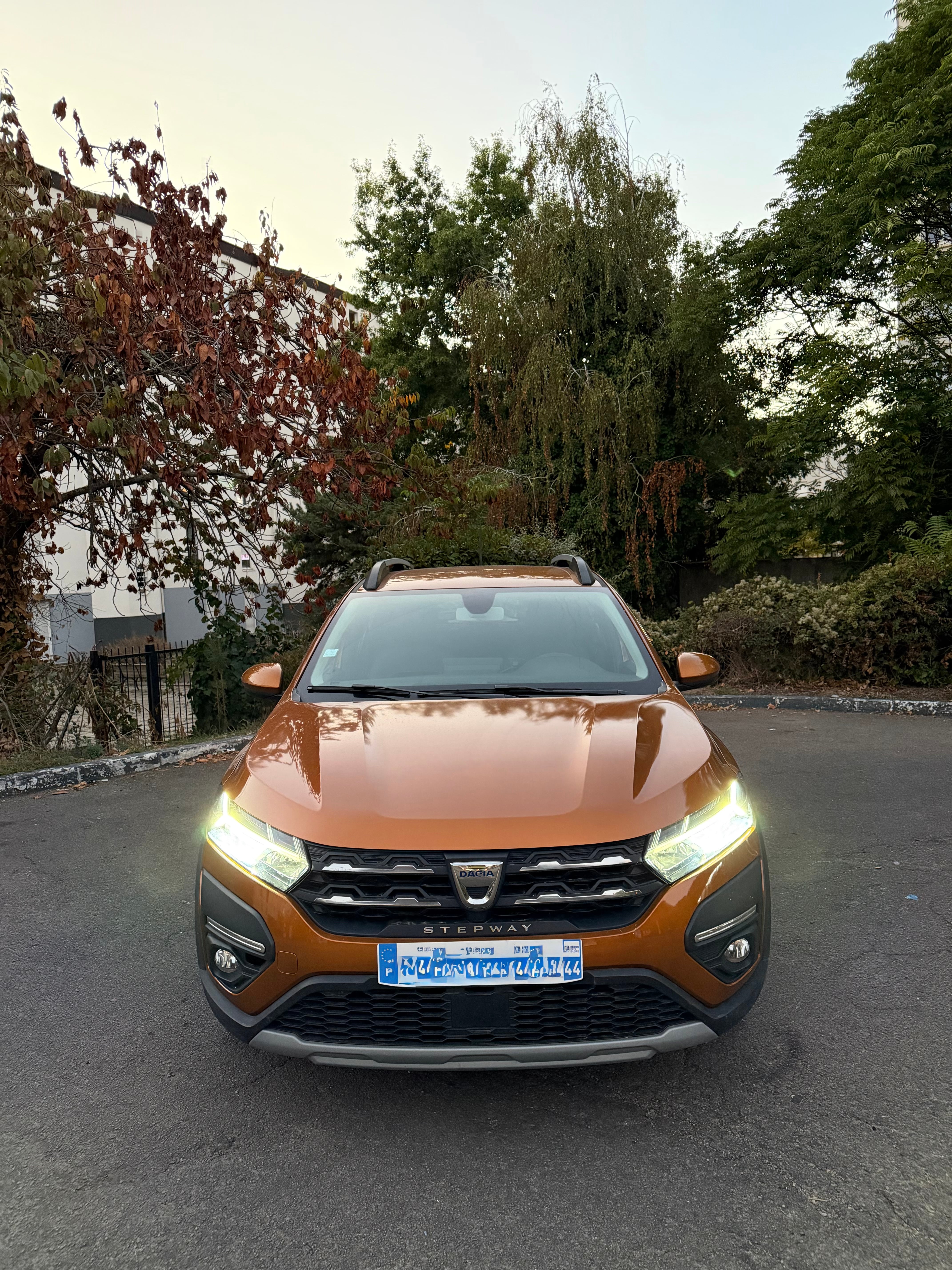 Dacia Sandero Stepway avec Régulateur de vitesse
