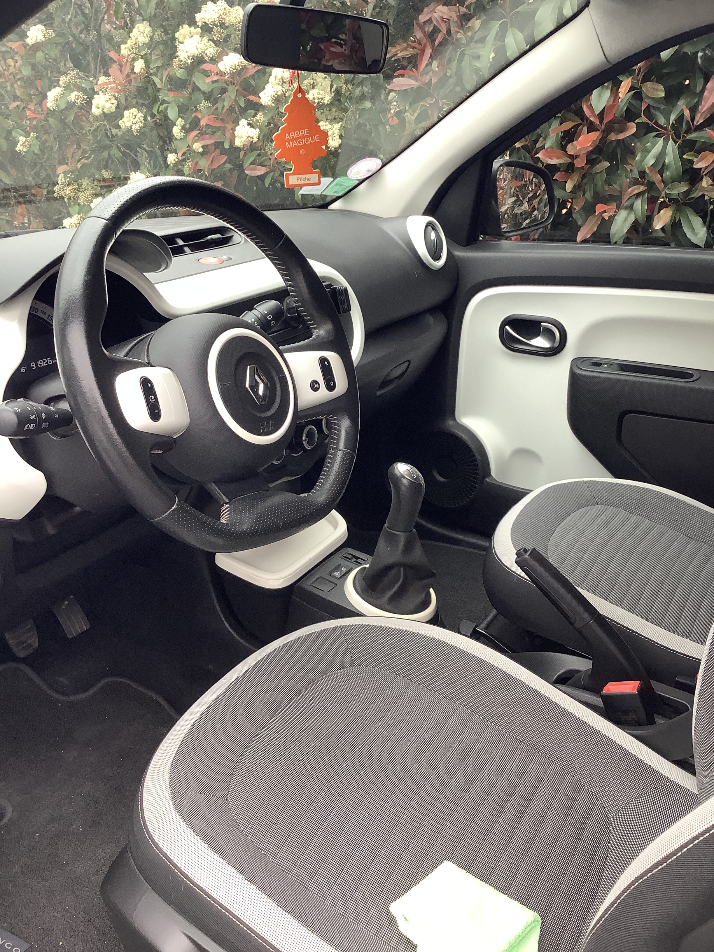 Renault Twingo 1.0 SCE 70 Intens avec Régulateur de vitesse