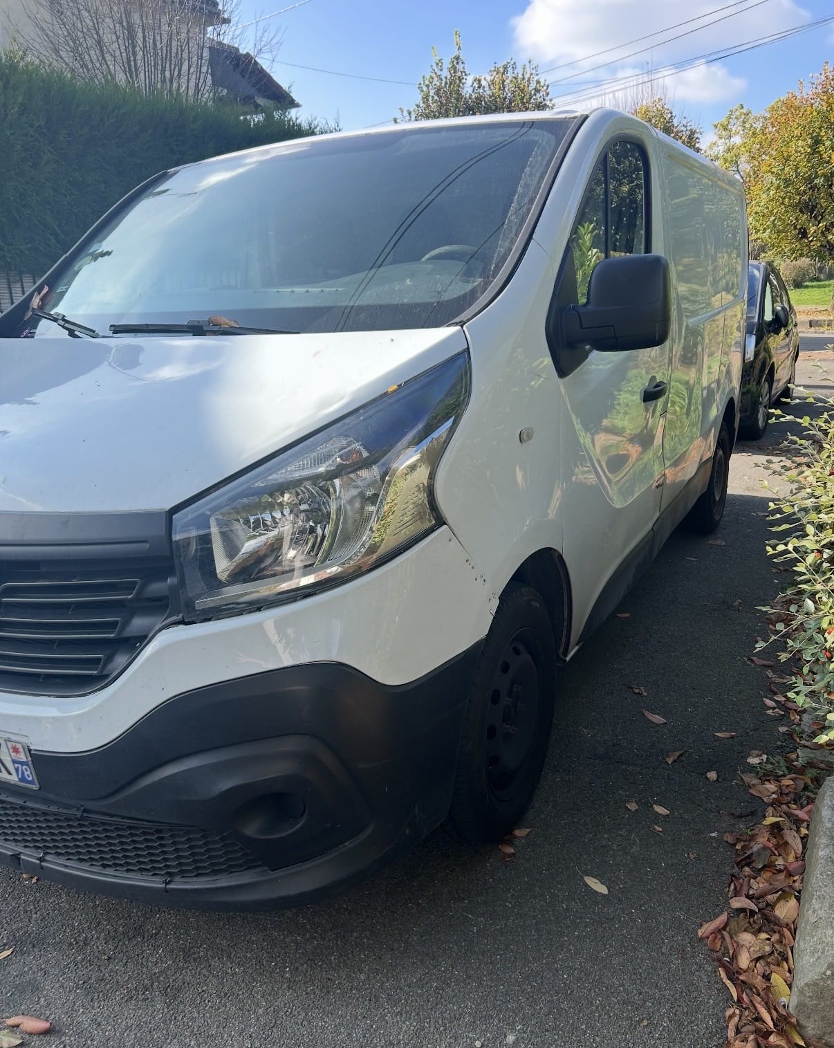 Renault Trafic