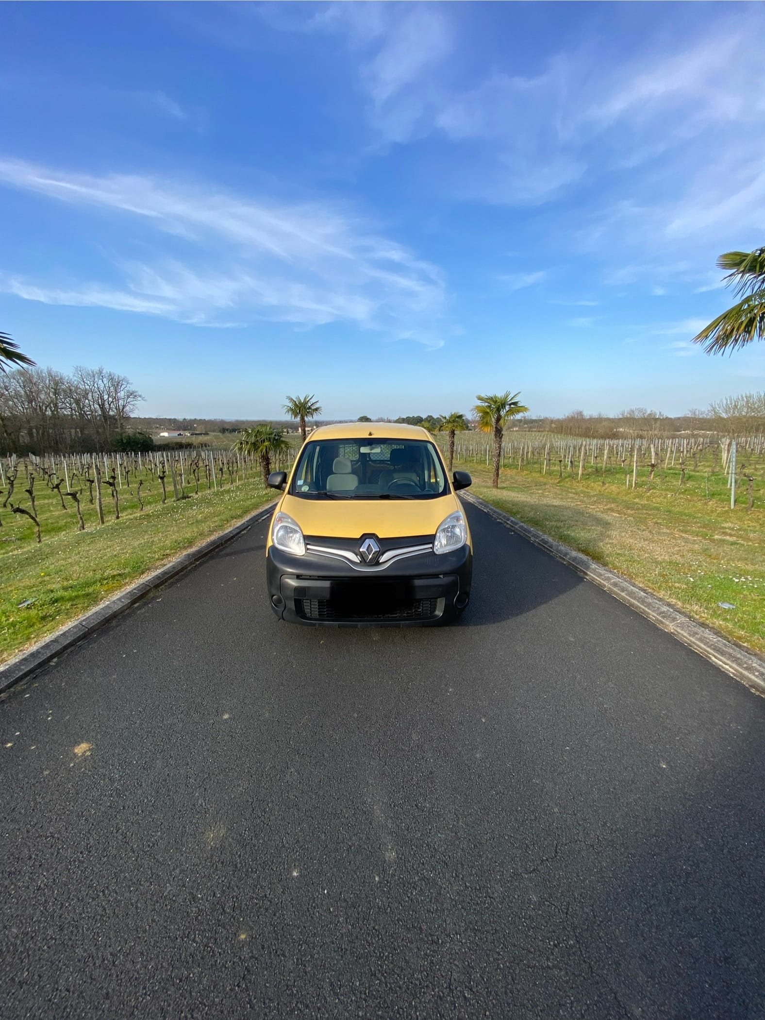 Renault Kangoo Express