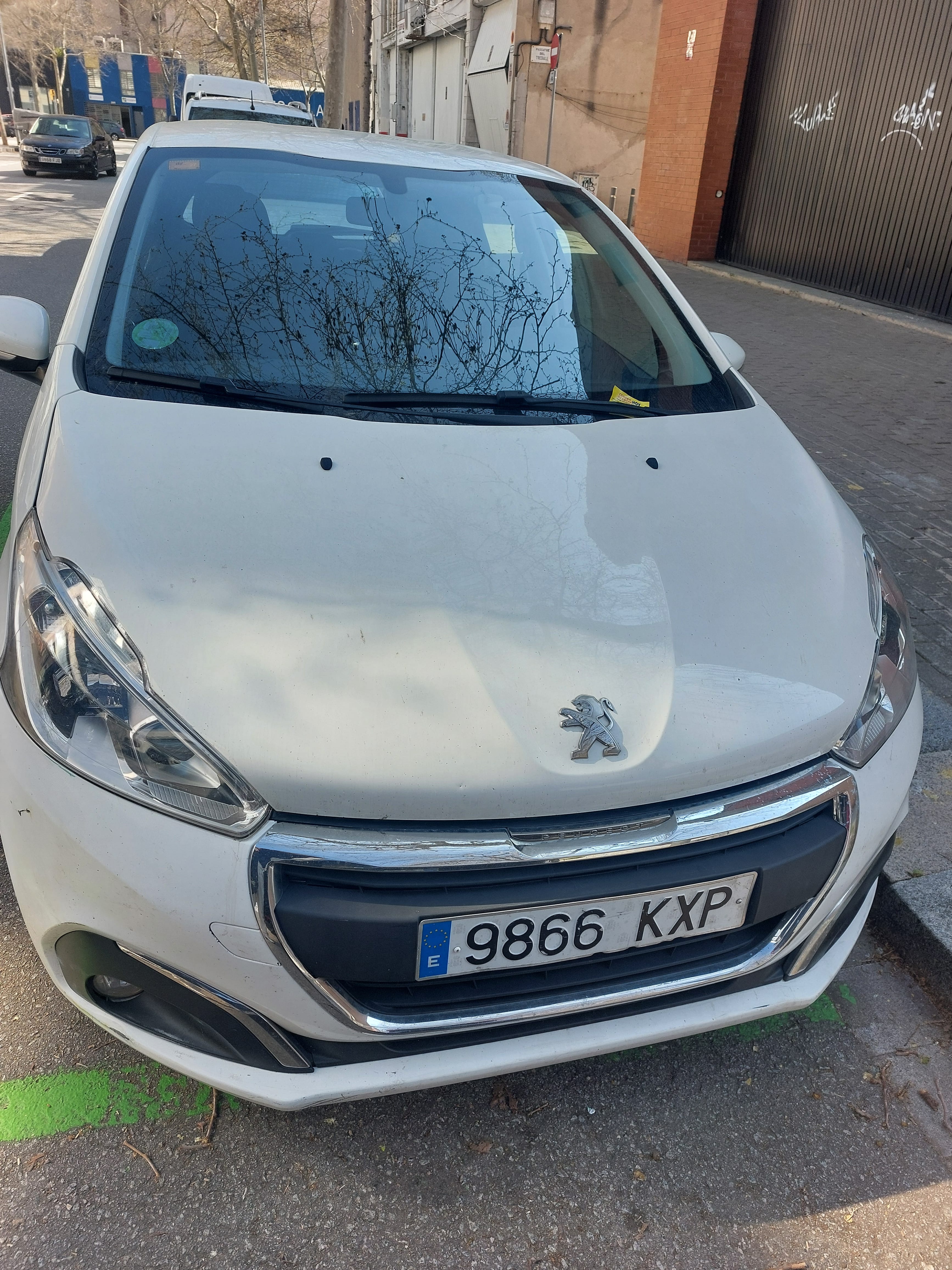 Peugeot 208 con Silla infantil