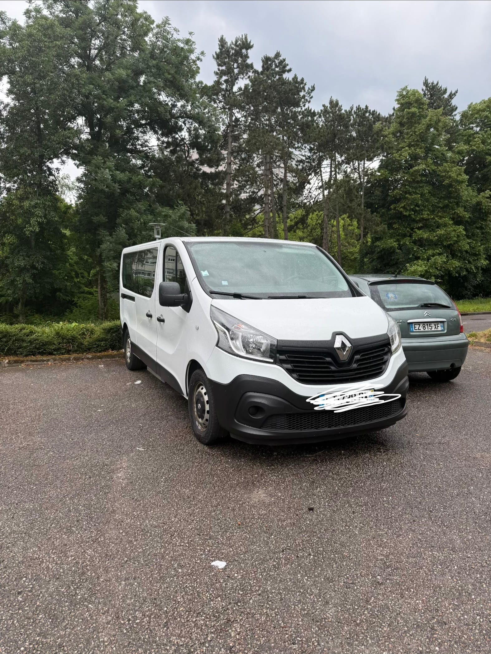 Renault Trafic, 2017, Diesel, 9 places et plus