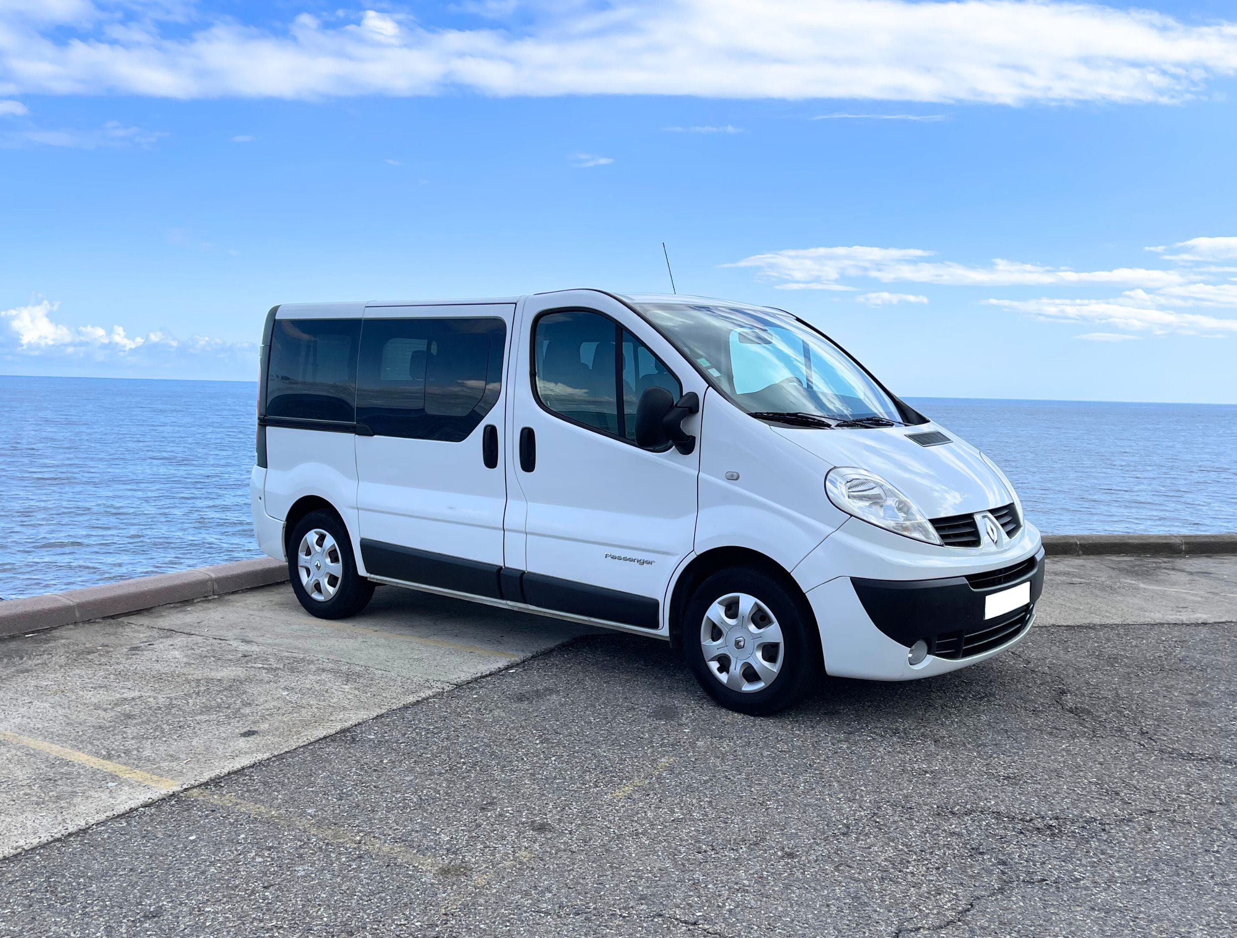 Renault Trafic Passenger, 2014, Diesel, 9 places et plus