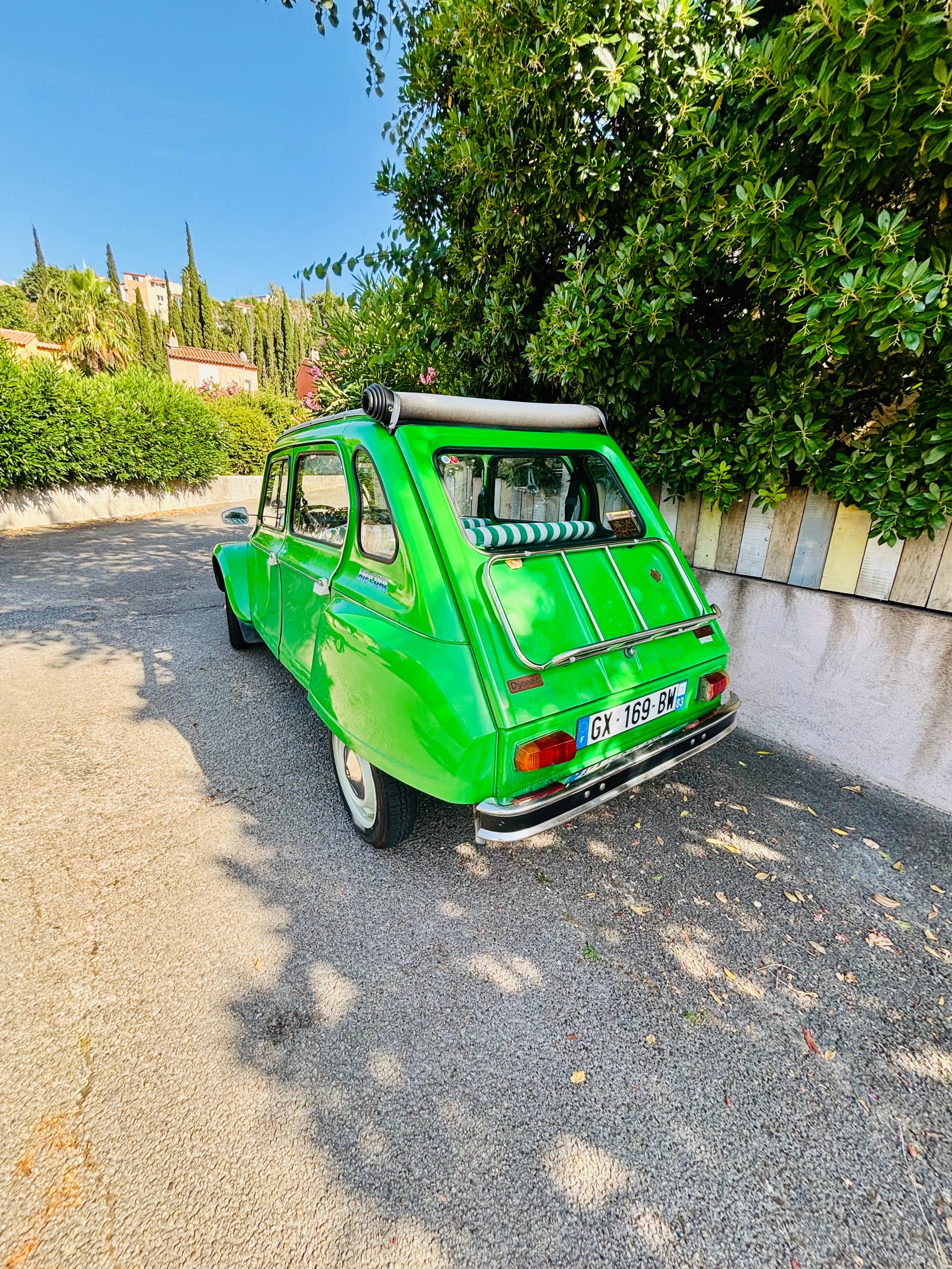 Citroen Dyane 6