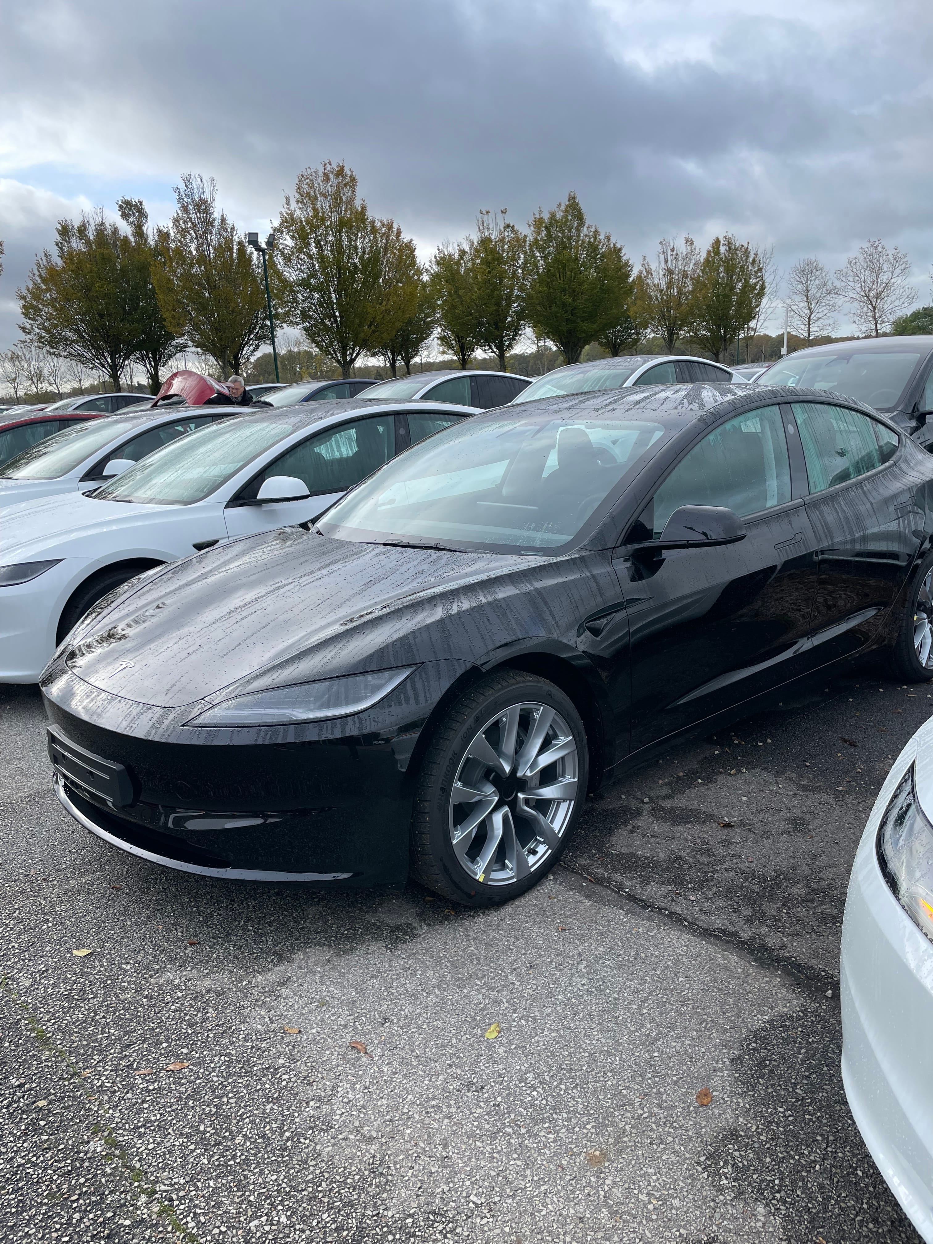 Tesla Model 3 Standard Range, 2023, Électrique, automatique