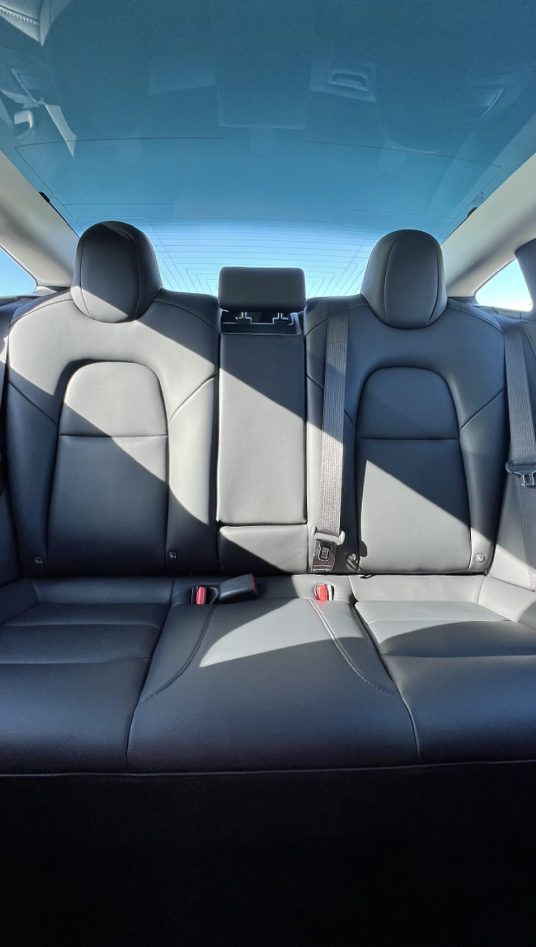 Tesla Model 3 med Cruisekontroll