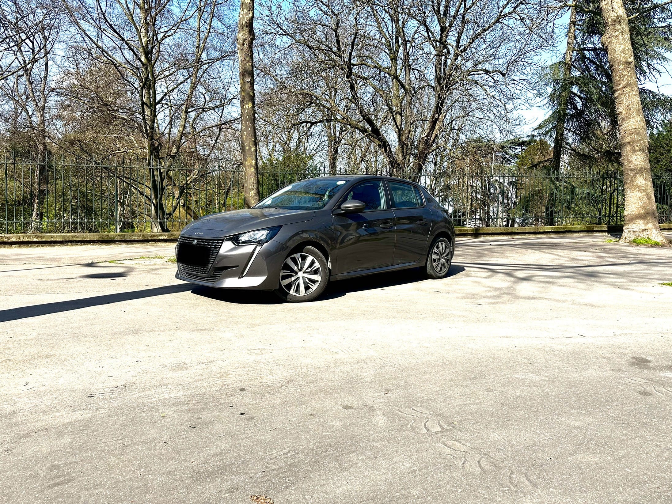 Peugeot 208 FR119 with GPS