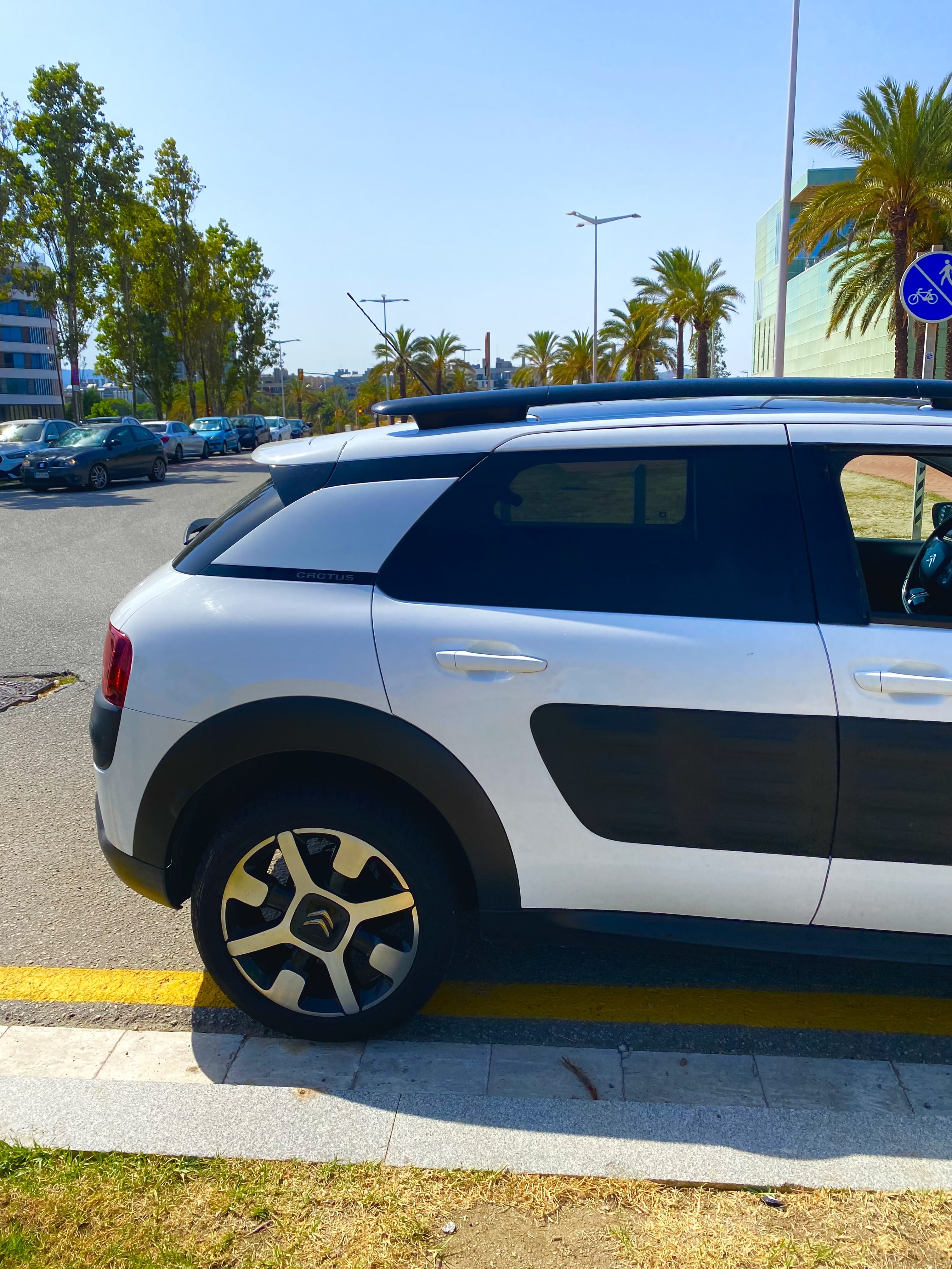 Citroen C4 Cactus con Audio Bluetooth