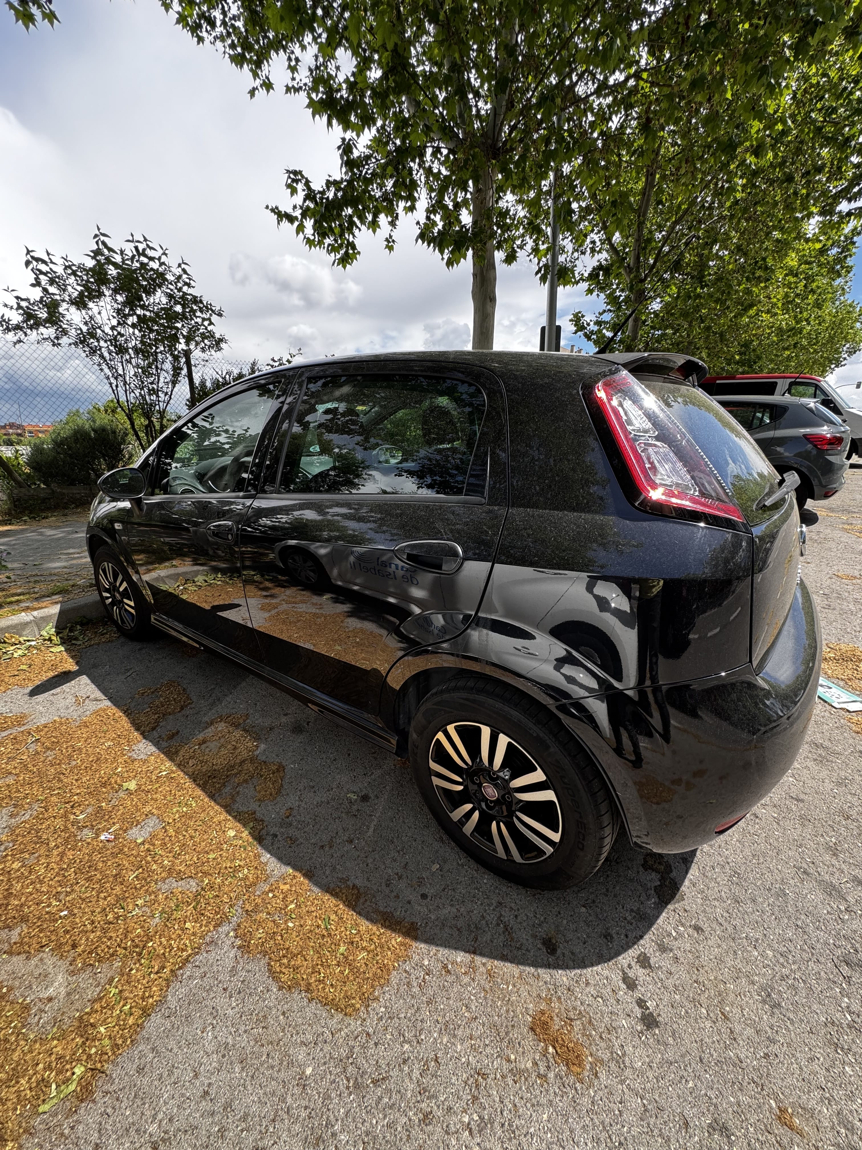 Fiat Punto con Control de velocidad