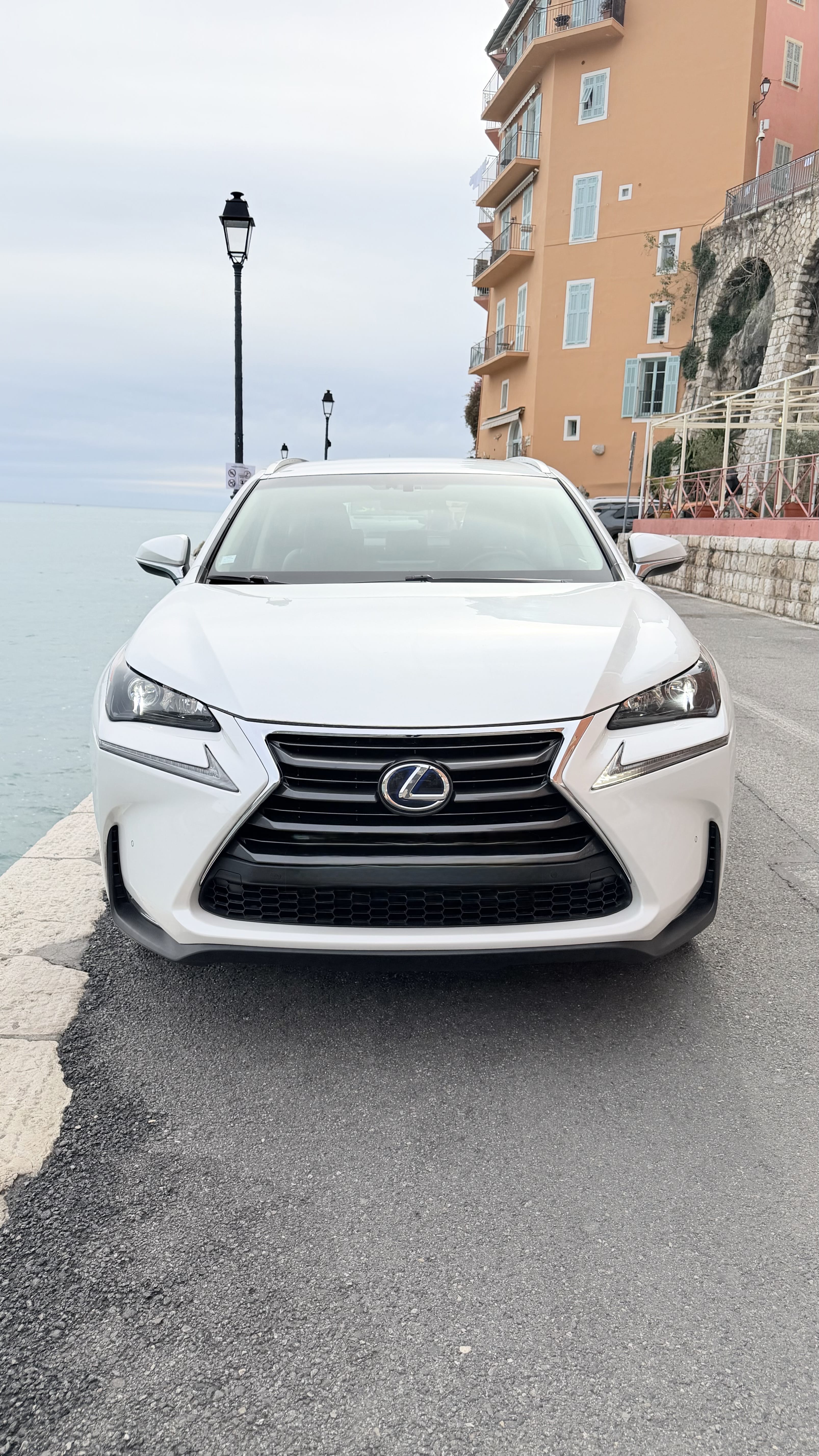 Lexus NX 300h avec Caméra de recul