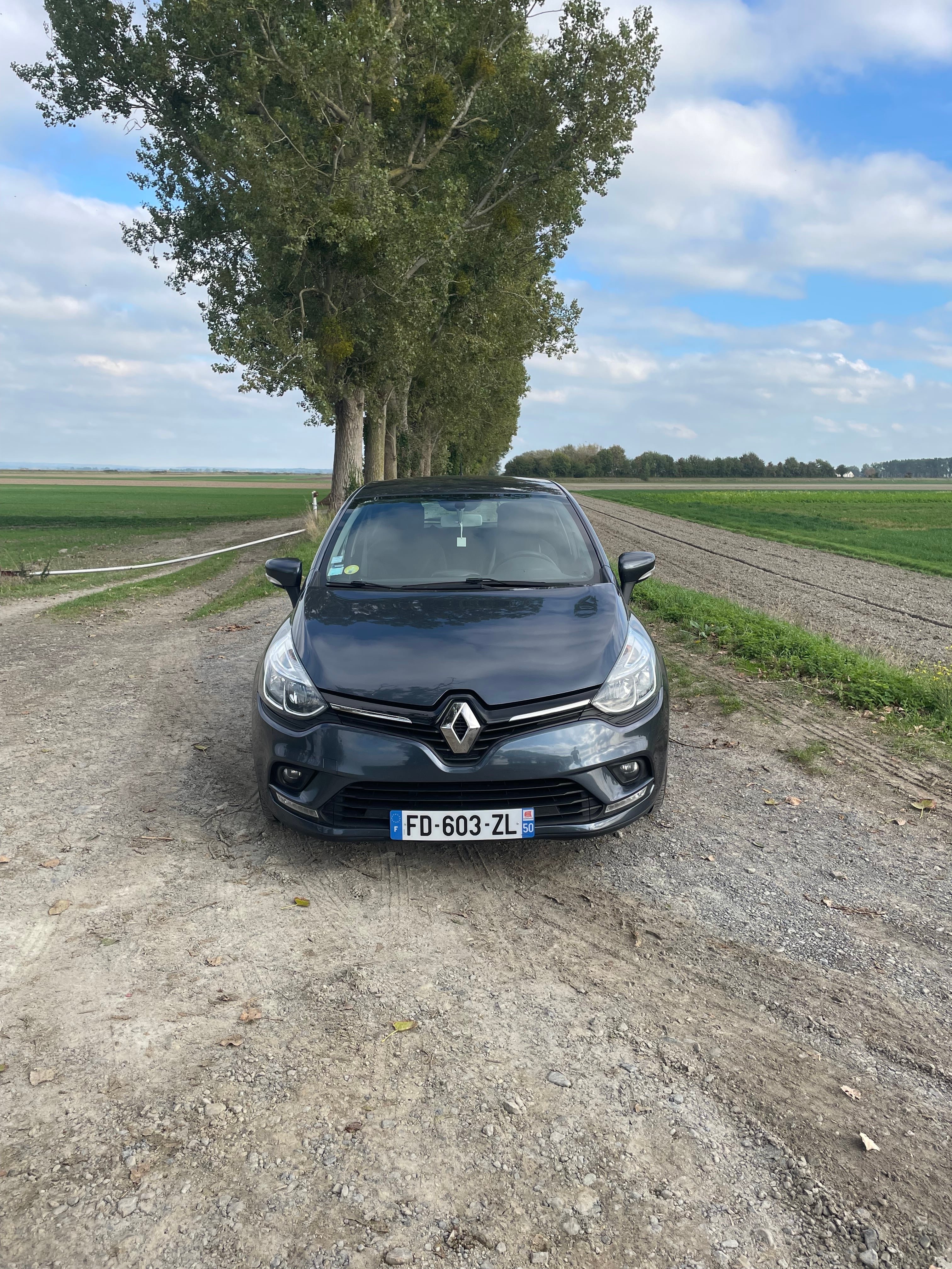 Renault Clio avec Climatisation
