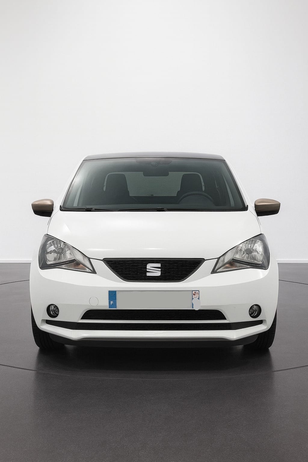 Seat Mii