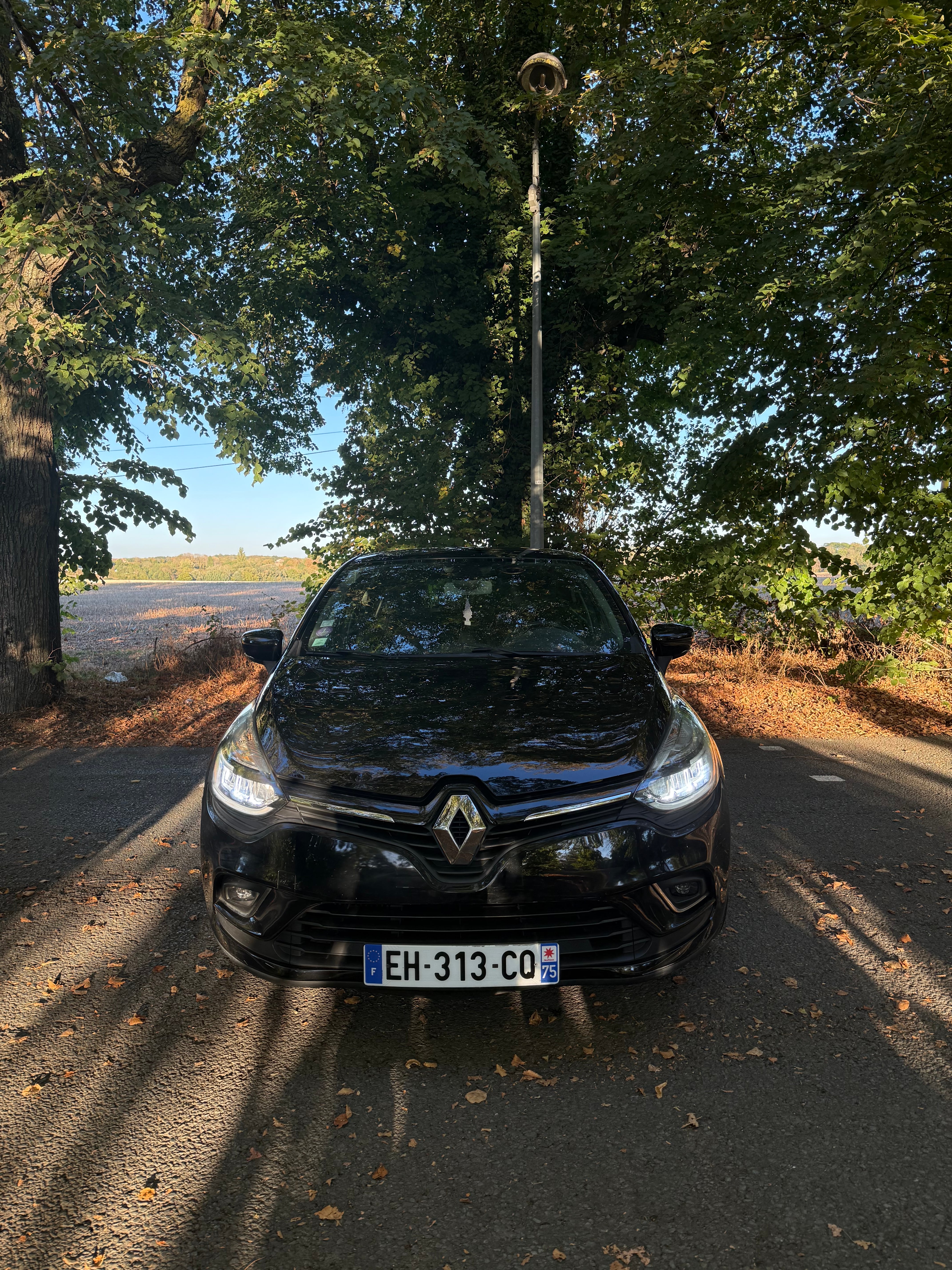 Renault Clio avec Entrée audio / iPod