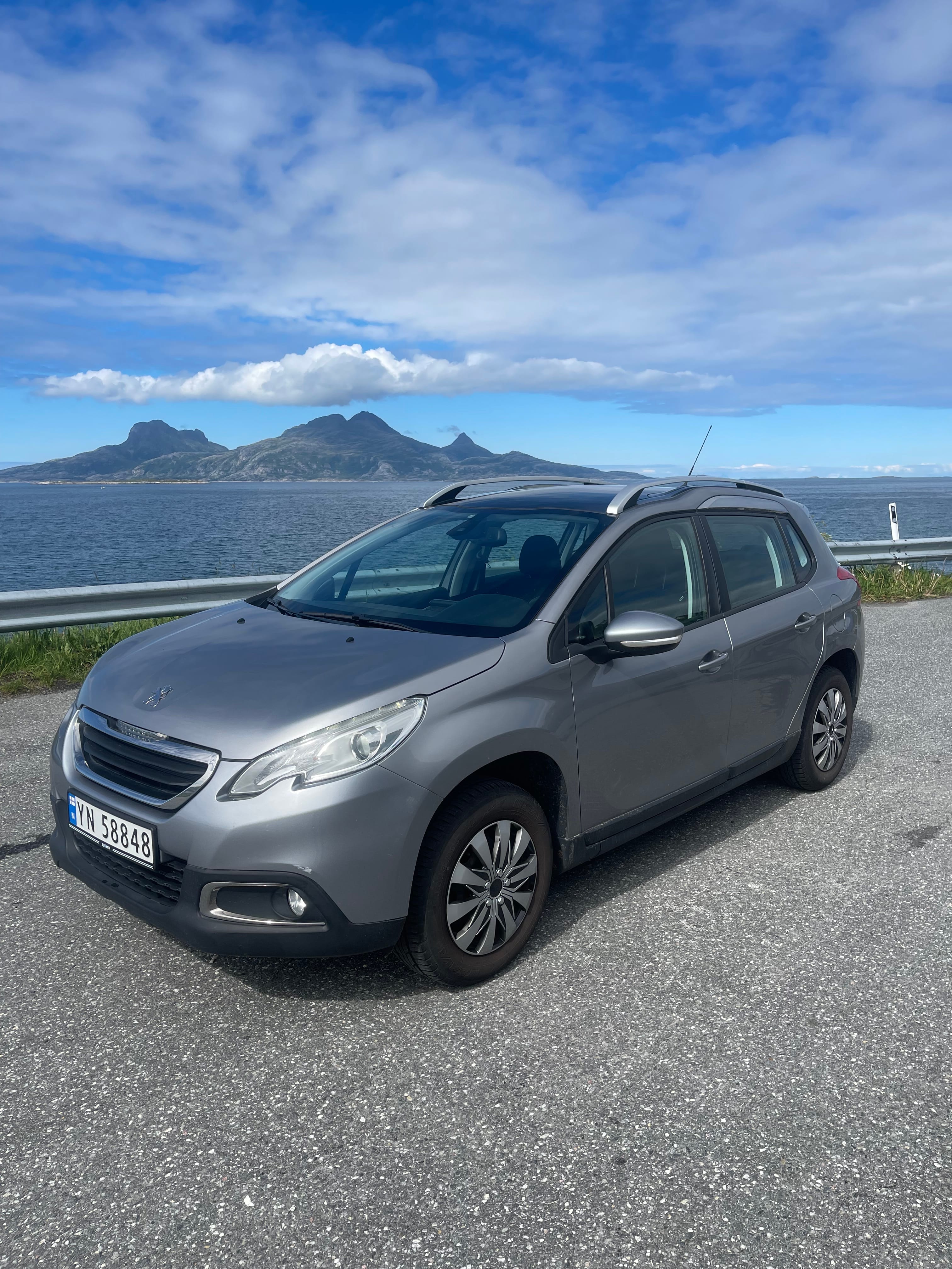Peugeot 2008, 2013, Blyfri 95