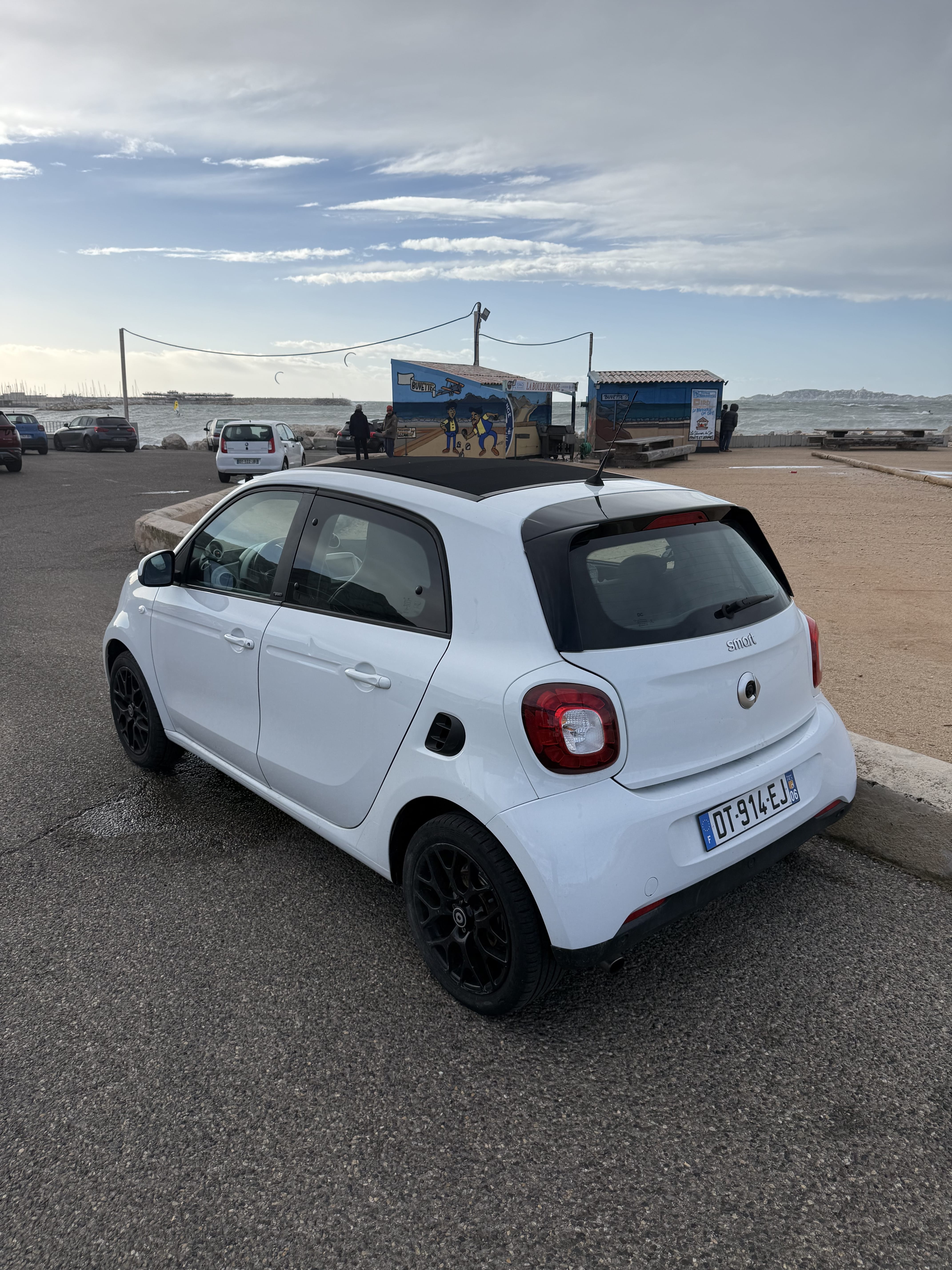 Smart Forfour con GPS
