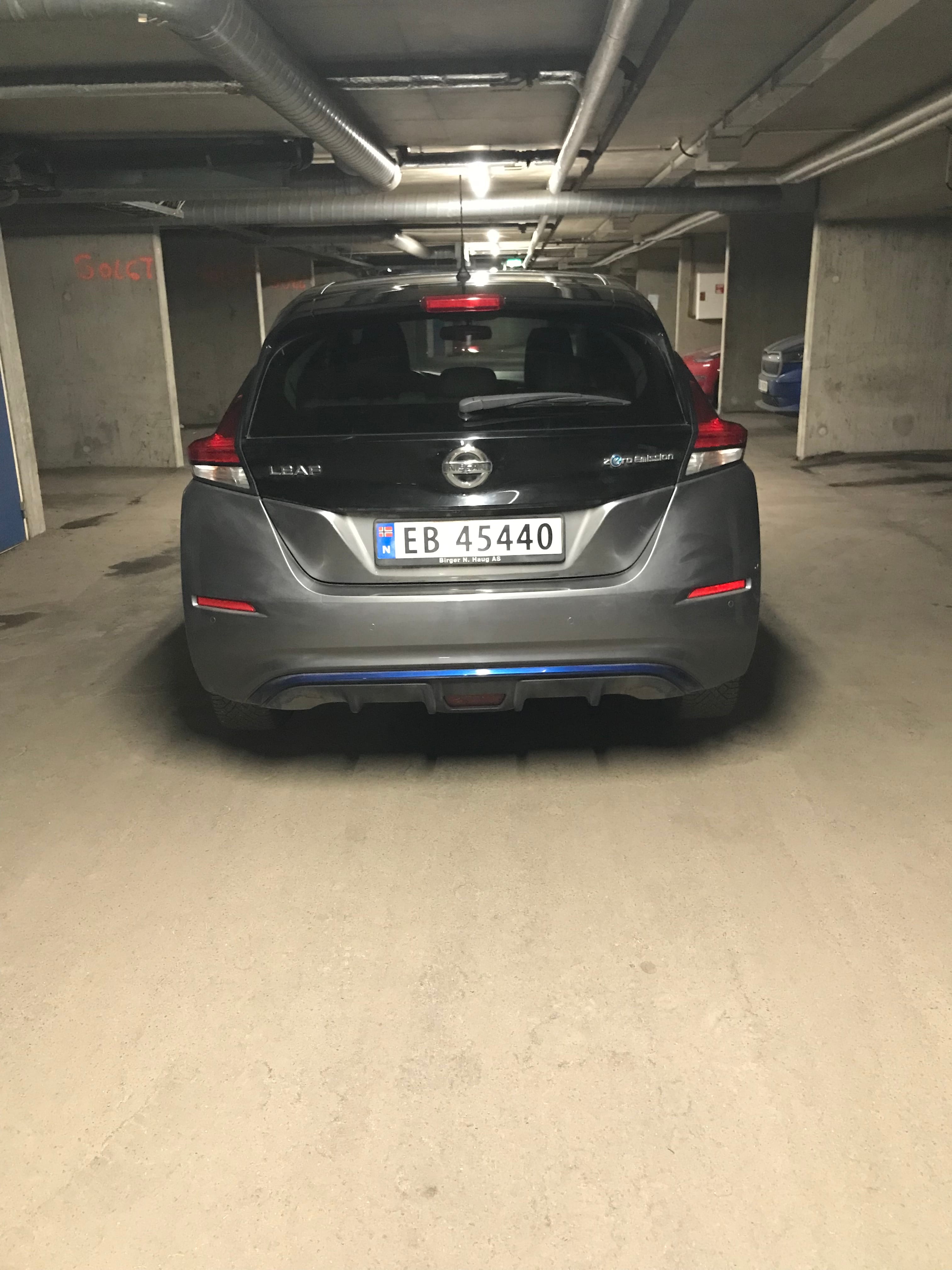 Nissan Leaf mit Winterreifen