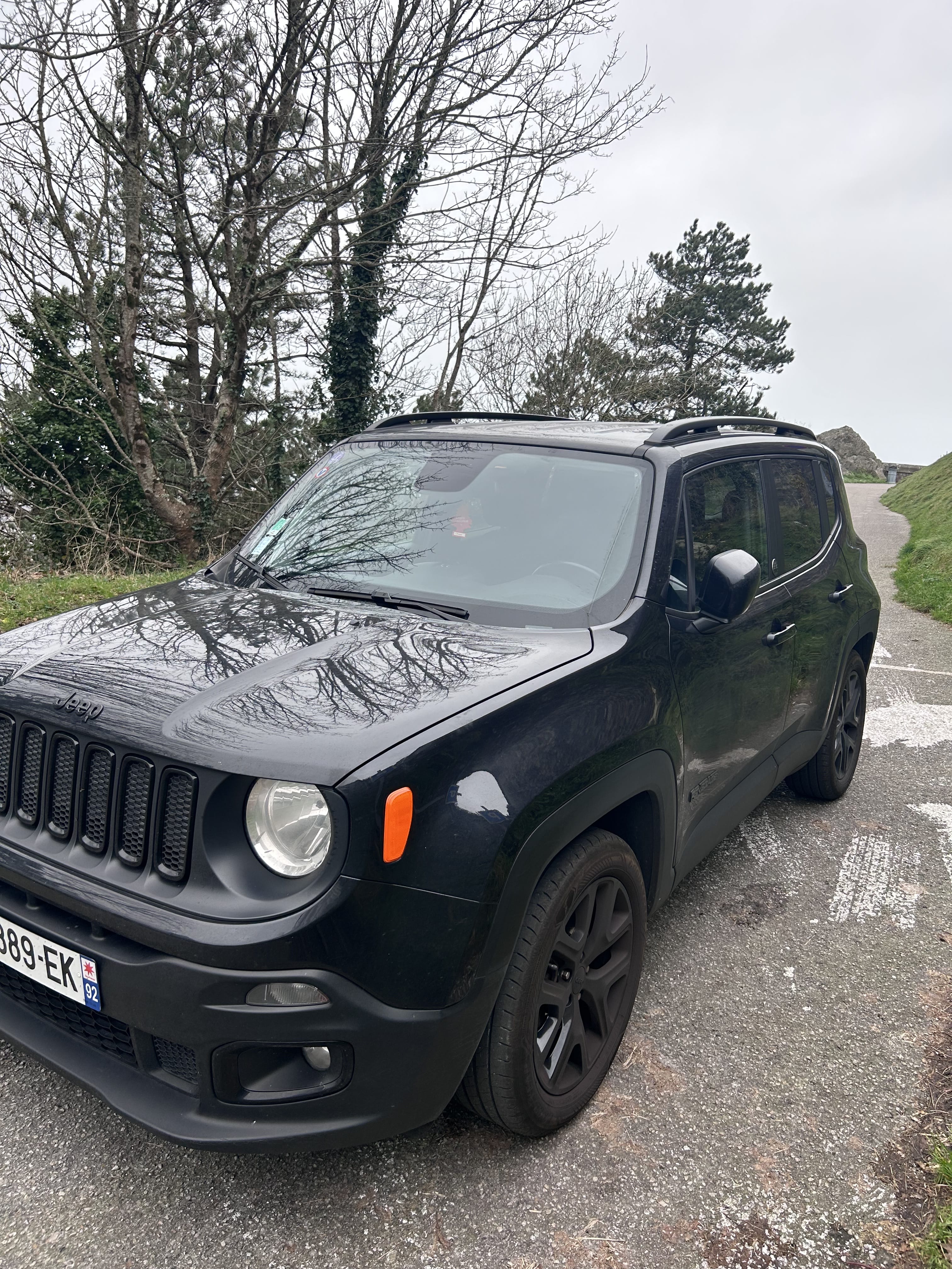 Jeep Renegade, 2018, Essence 95