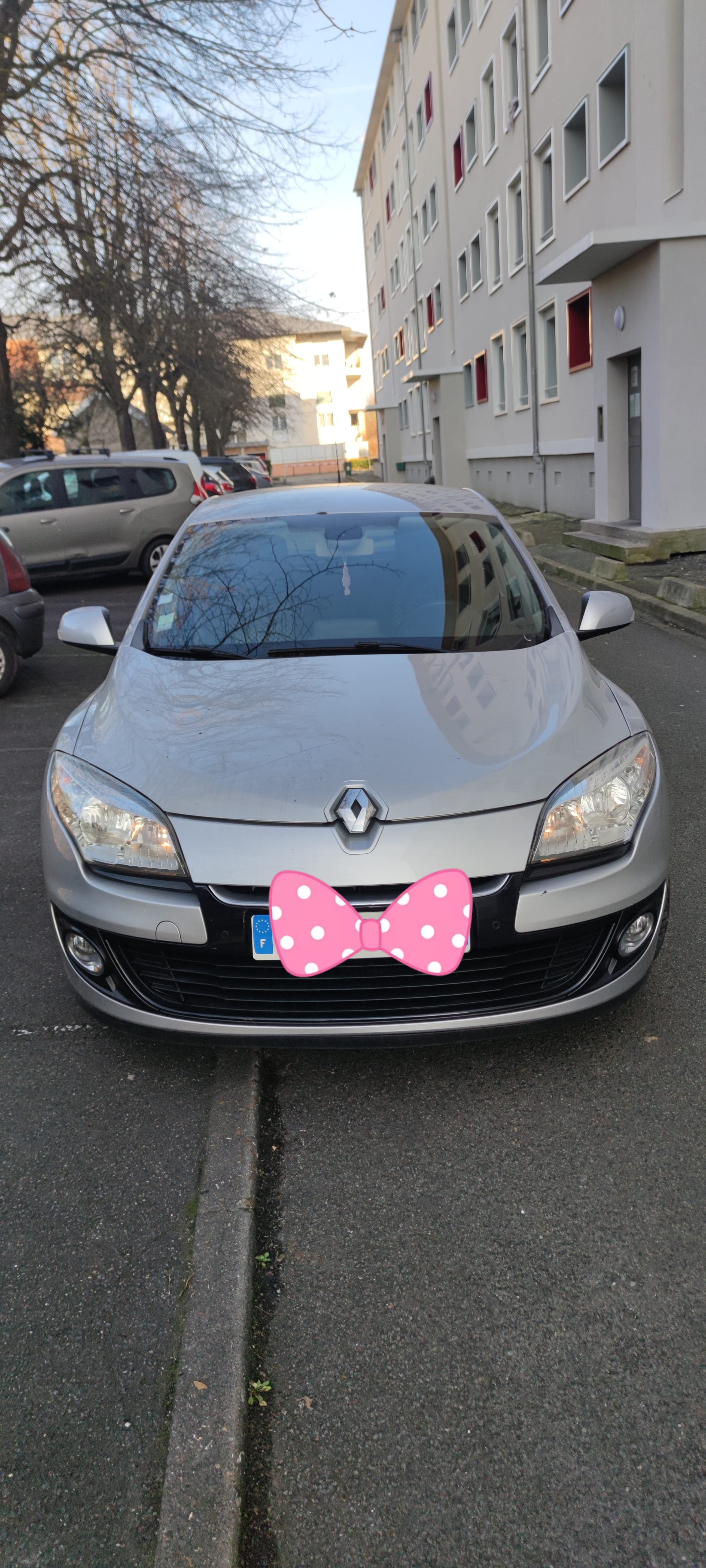 Renault Mégane, 2013, Diesel