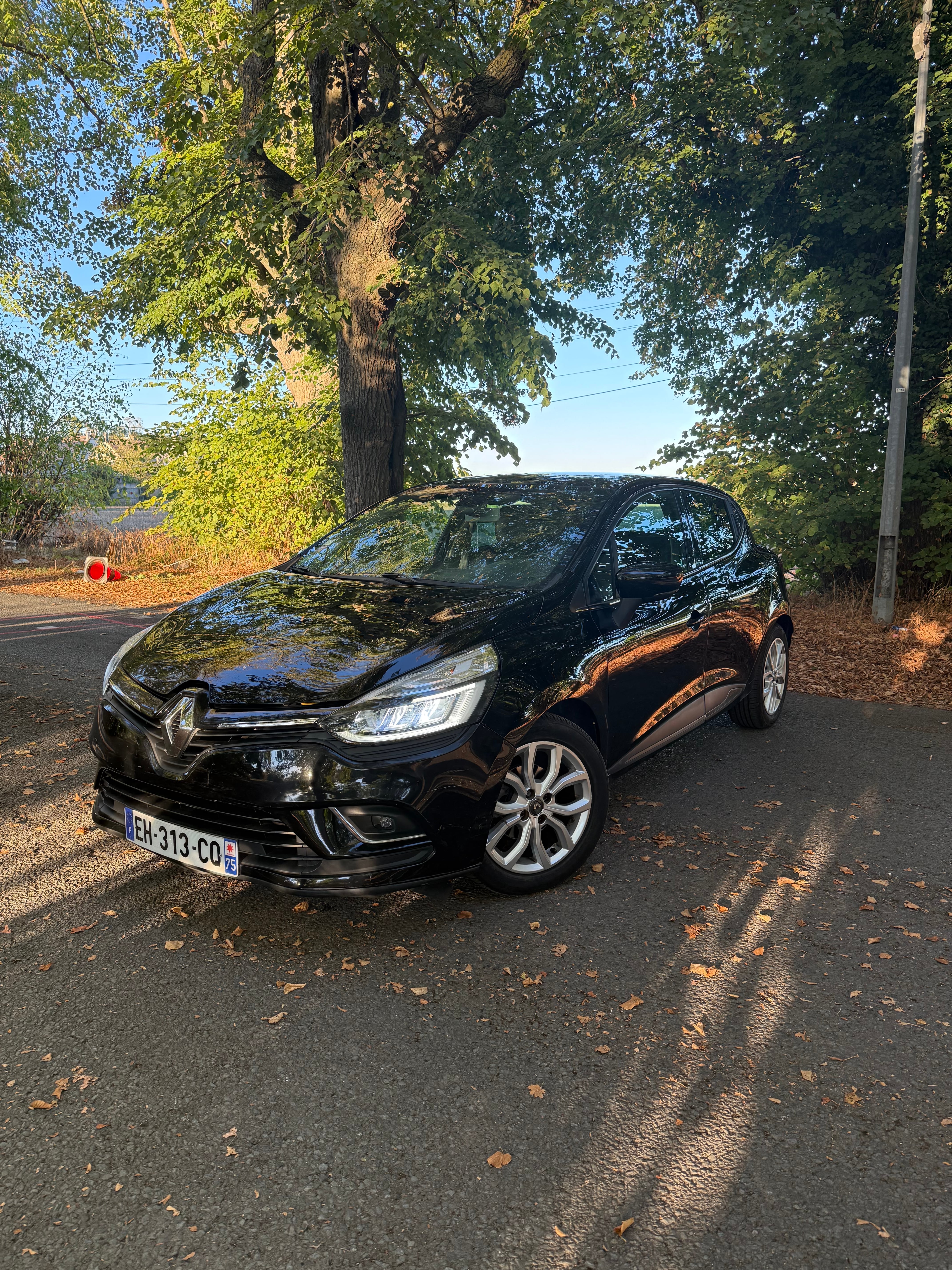 Renault Clio, 2016, Essence 95