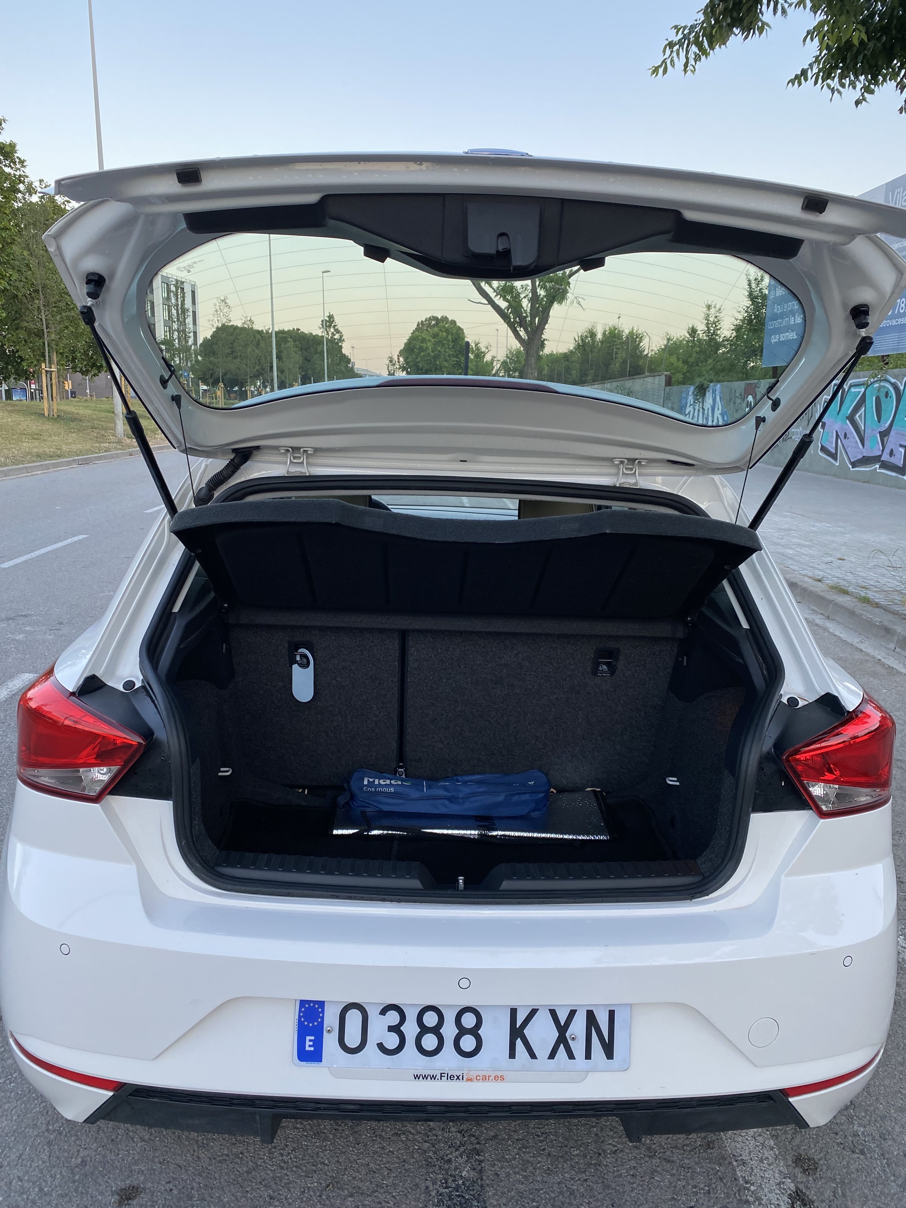 Seat Ibiza con Radio 