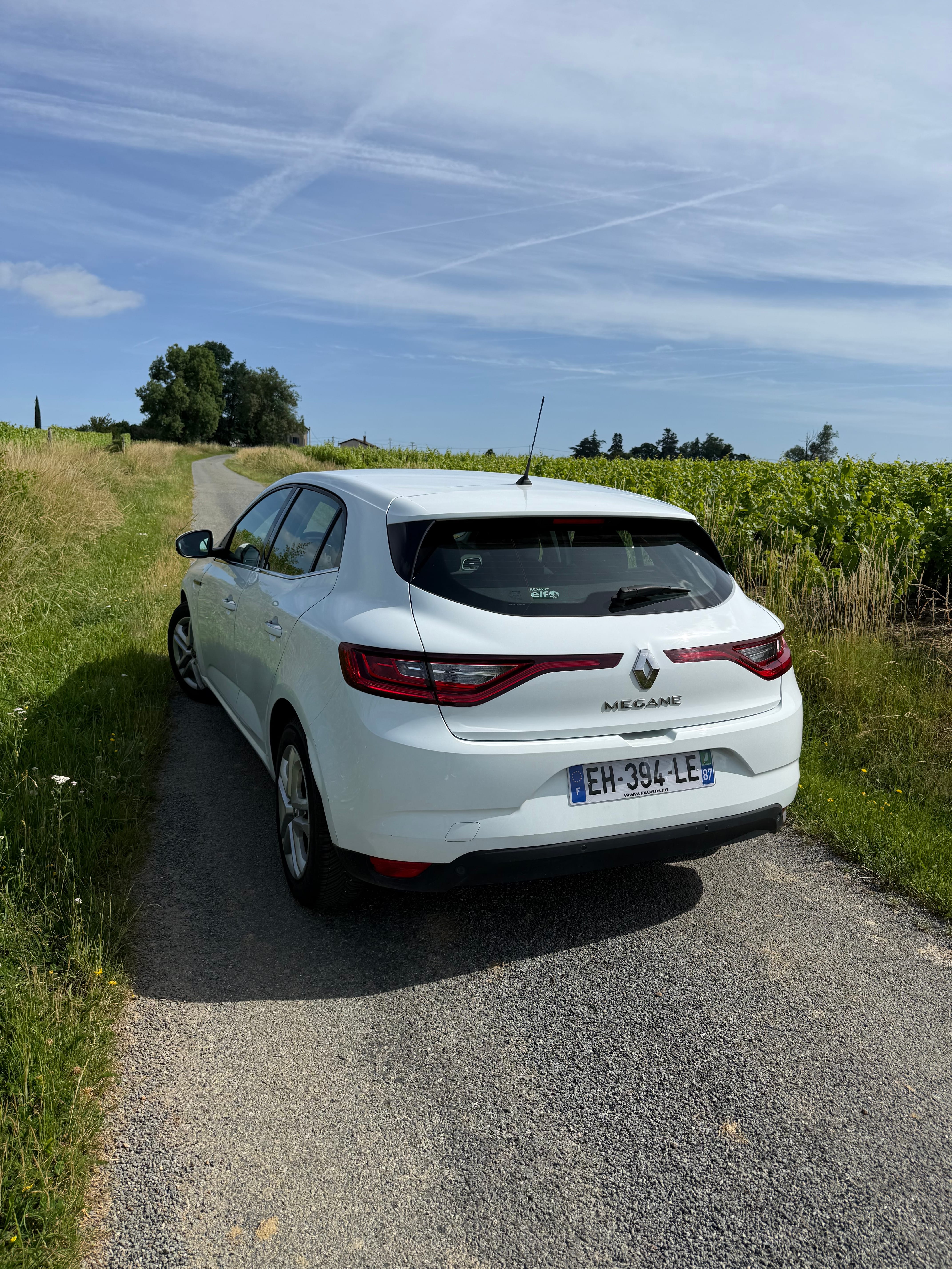 Renault Mégane avec GPS