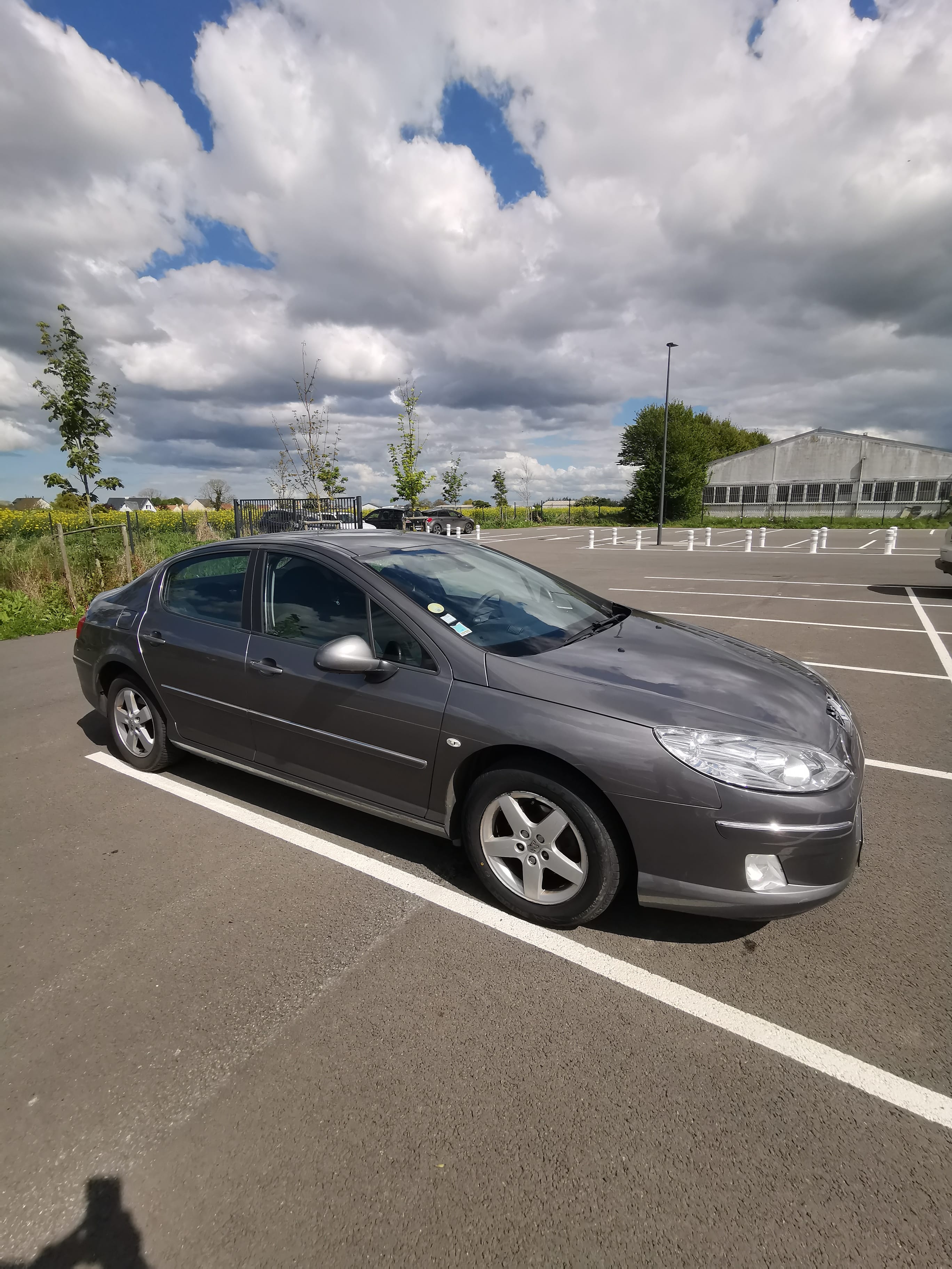Peugeot 407, 2010, Diesel