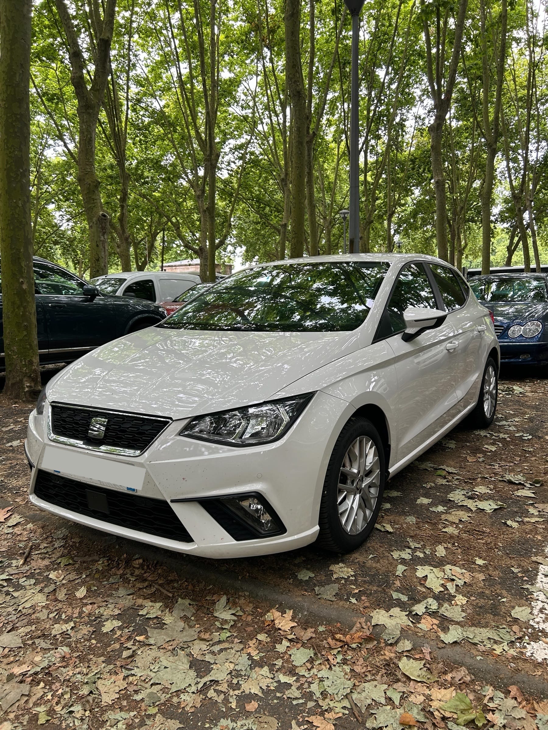 Seat Ibiza, 2020, Essence 95