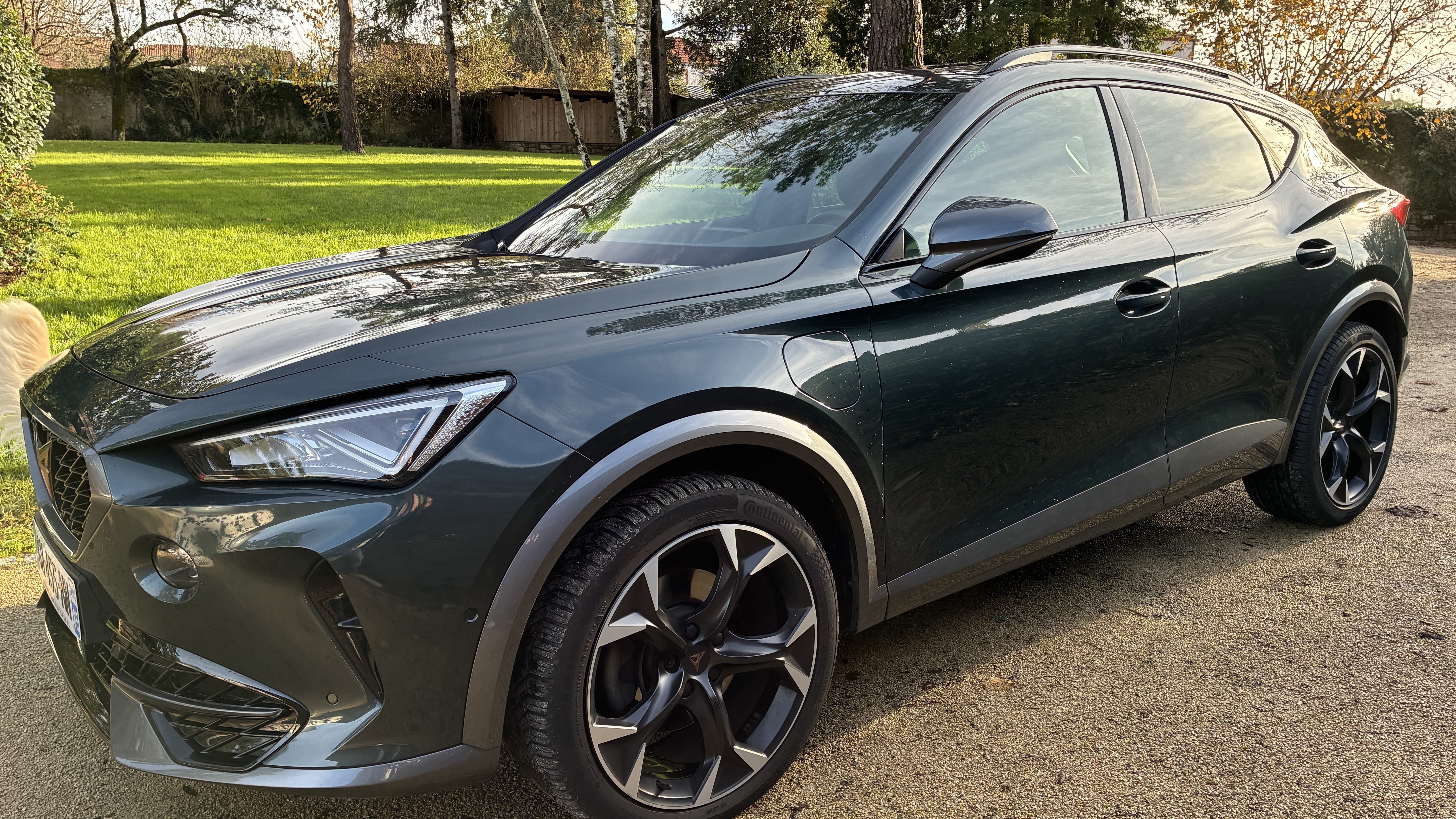 Cupra Formentor, 2022, Essence 95 / Électrique (hybride), automatique