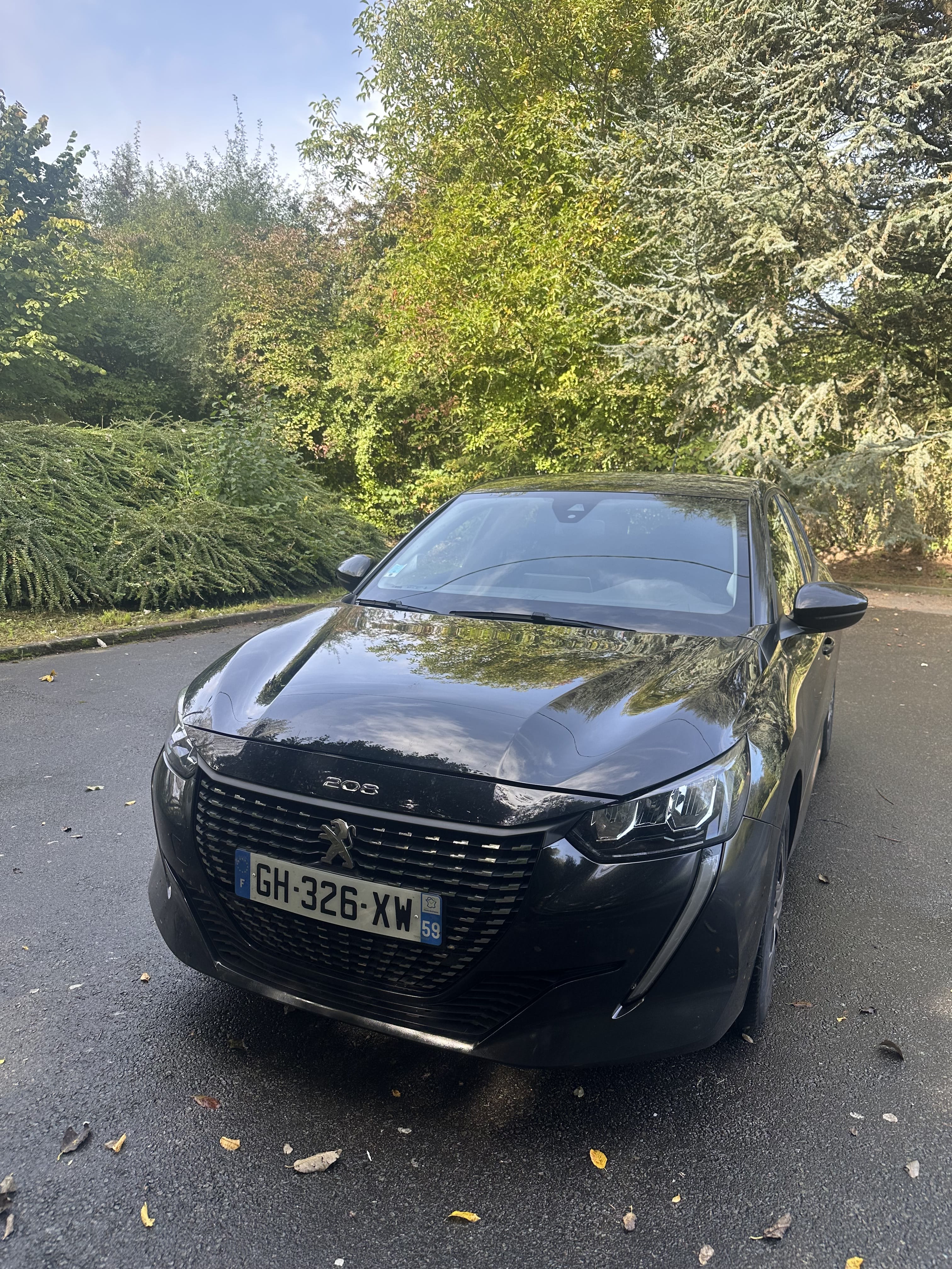 Peugeot 208, 2022, Diesel