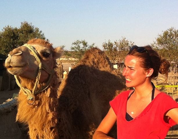 Annabelle
