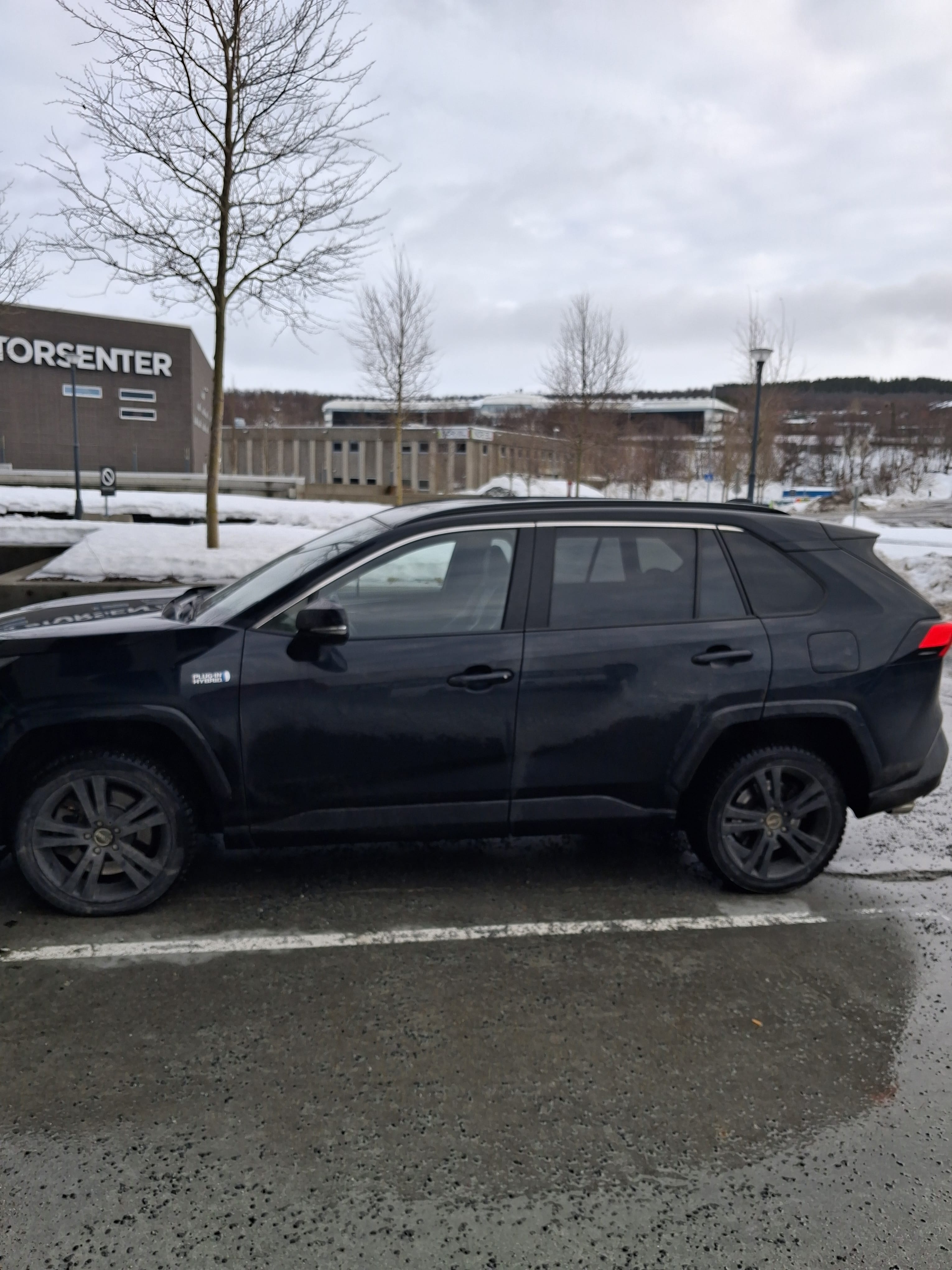 Toyota RAV 4 Hybrid met Airco
