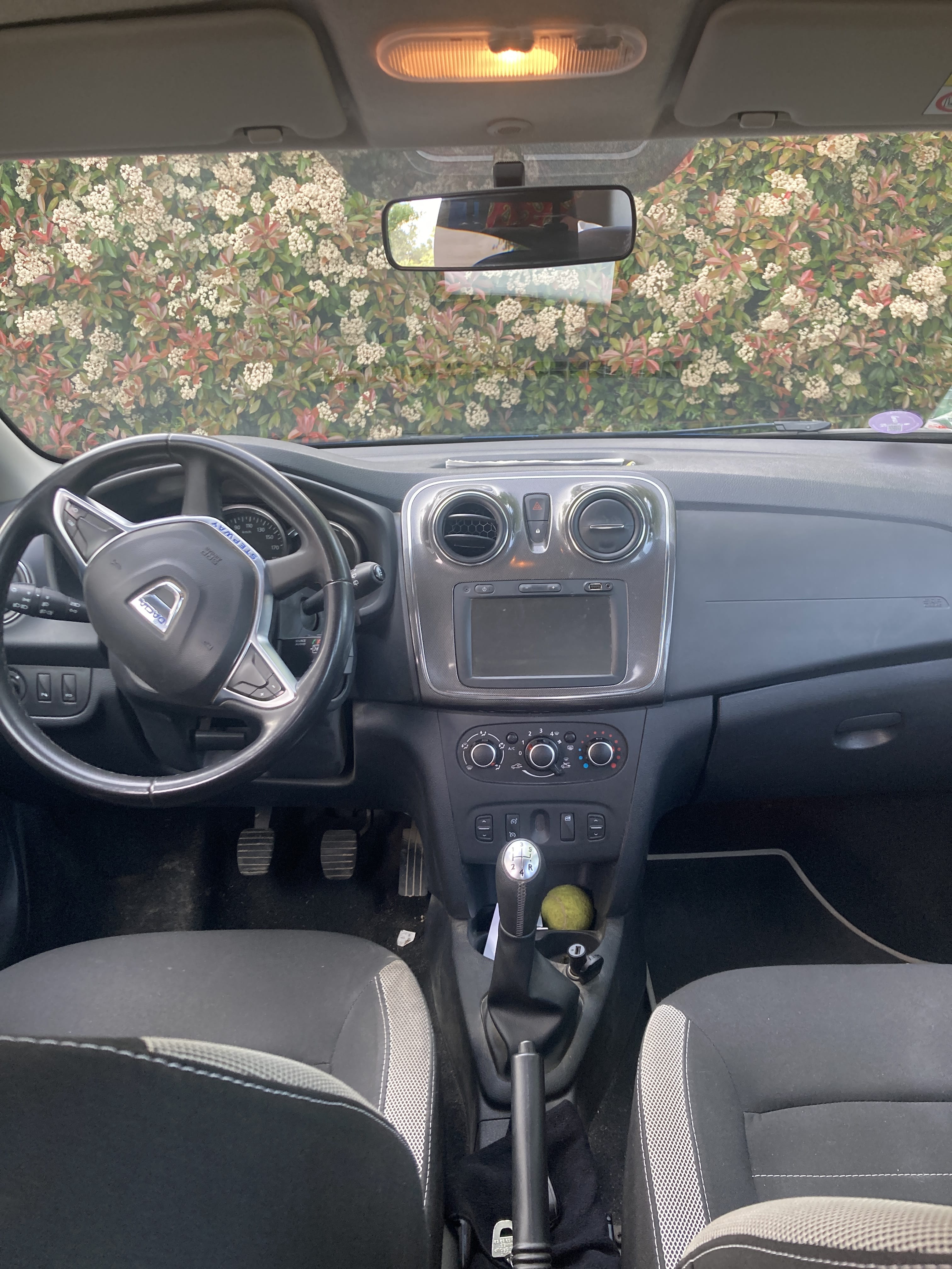 Dacia Sandero Stepway avec GPS
