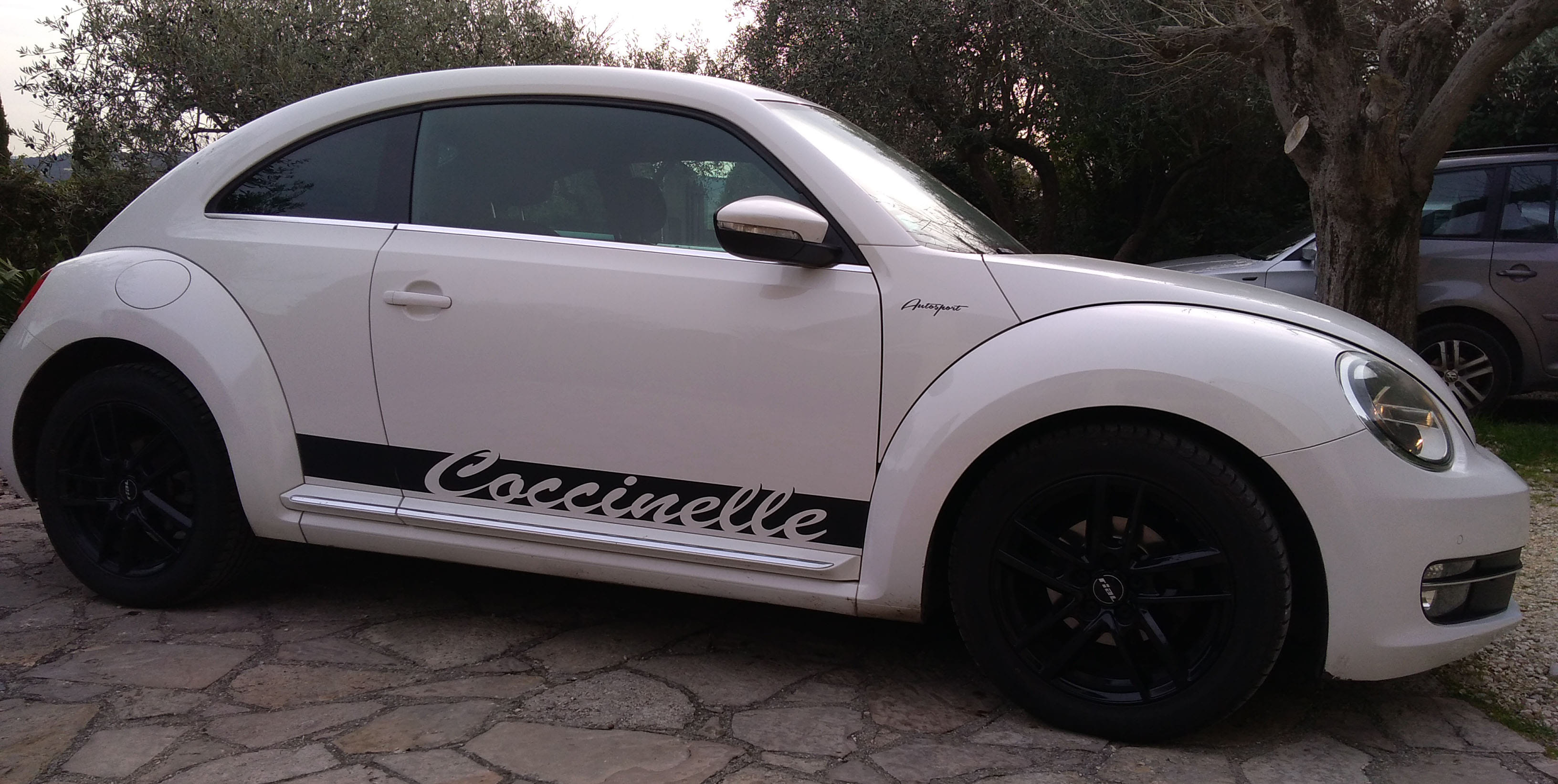 Volkswagen New Beetle avec Climatisation