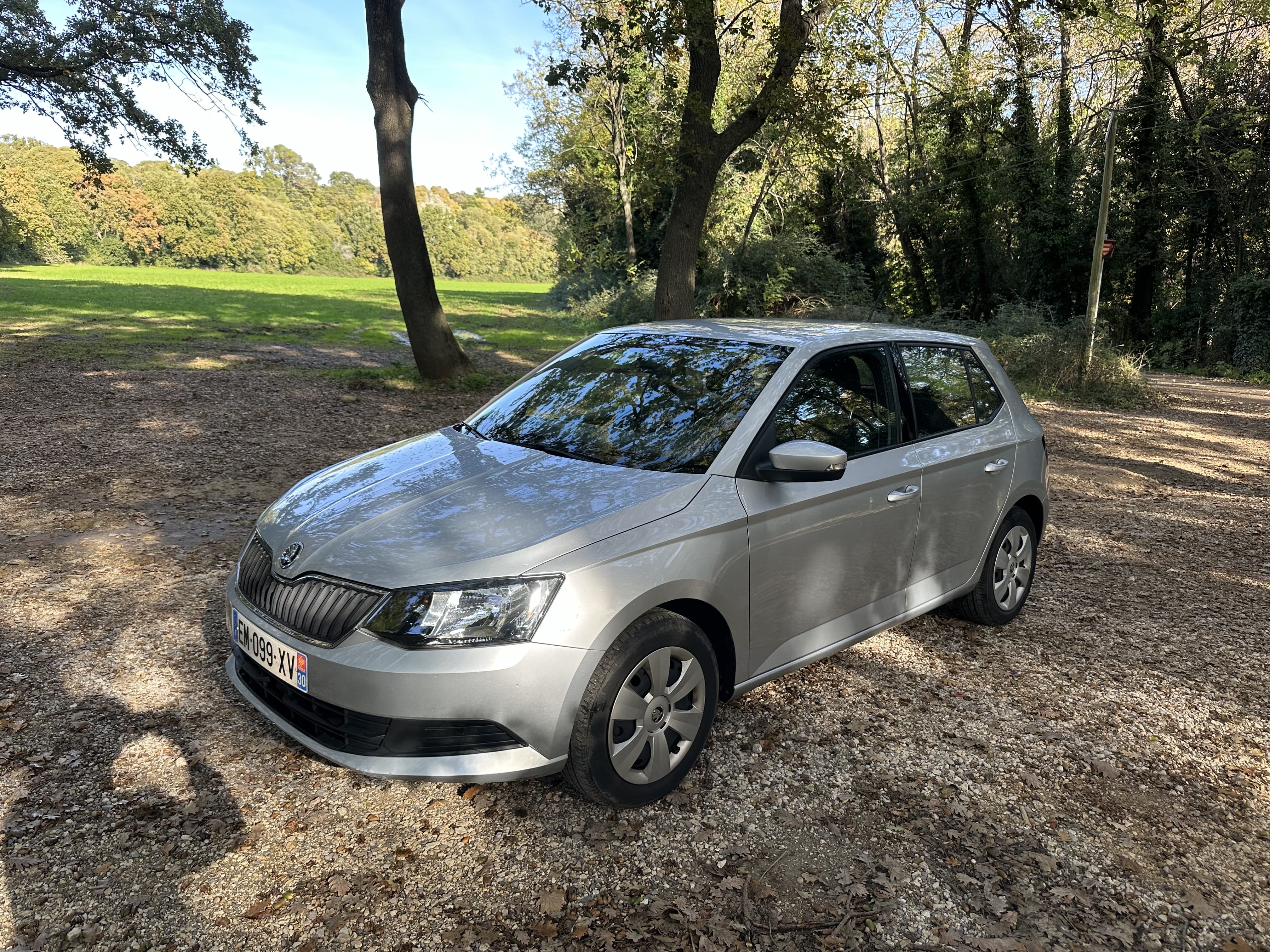 Skoda Fabia, 2017, Essence 98