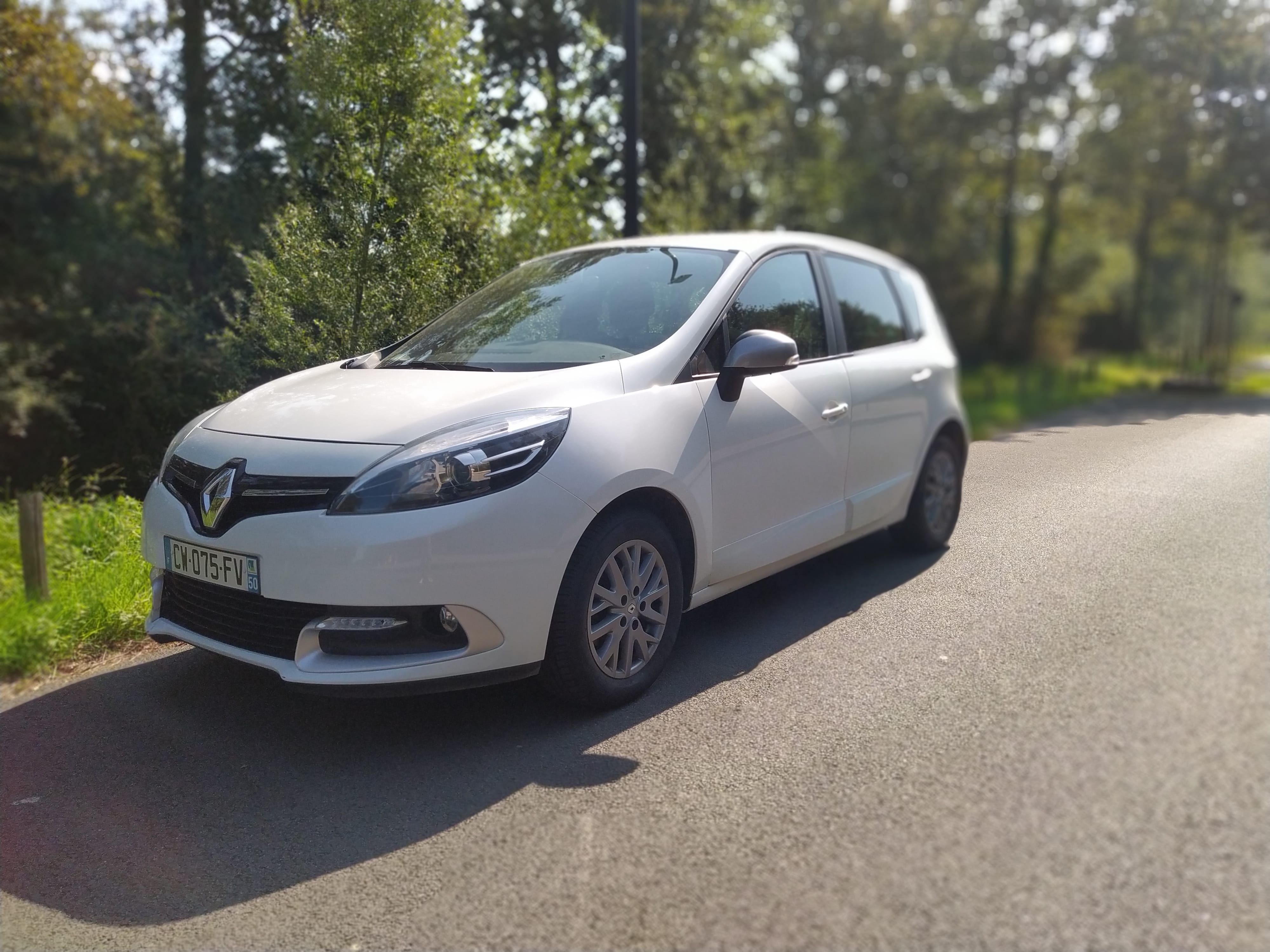 Renault Scenic, 2013, Essence 95