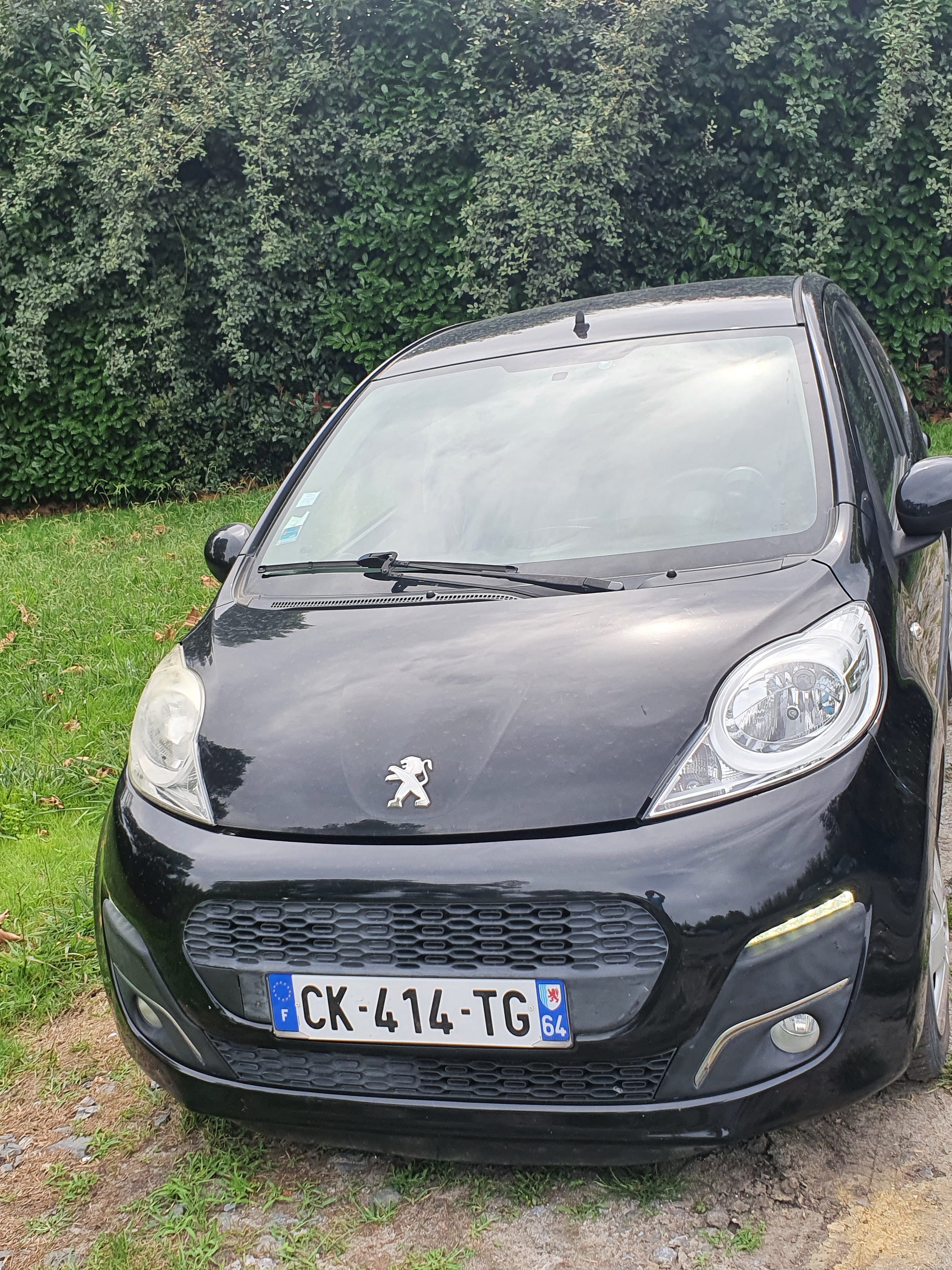 Peugeot 107 Société