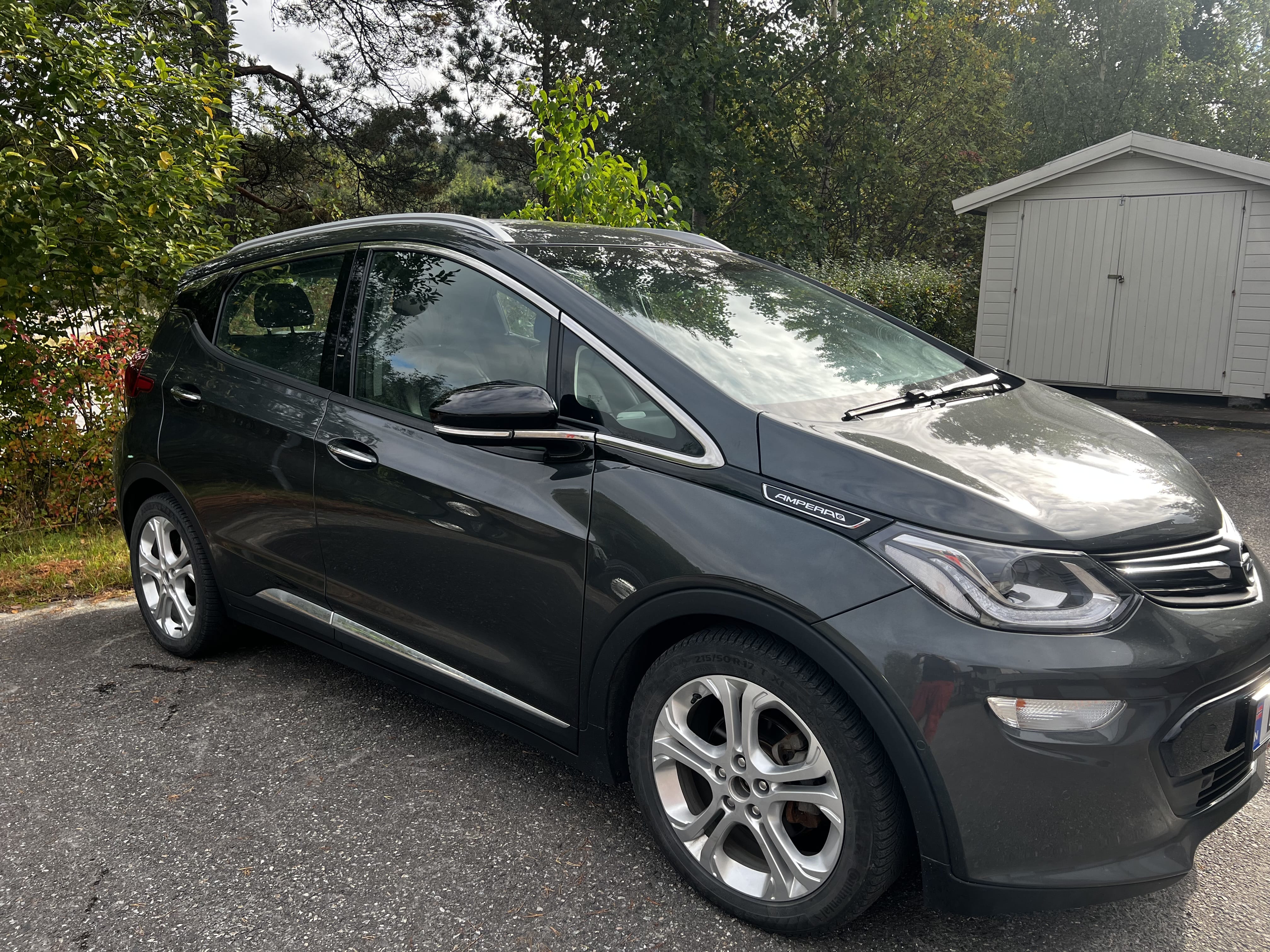 Opel Ampera E, 2019, Elektrisk, automatisk