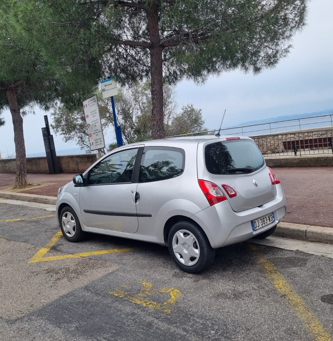 Renault Twingo II Clim, Bluetooth, USB, super 95, with Air conditioning