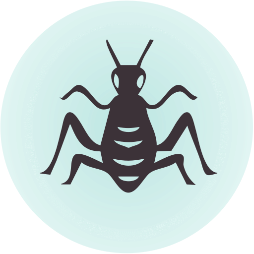 Koumba