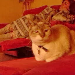 Bertrand