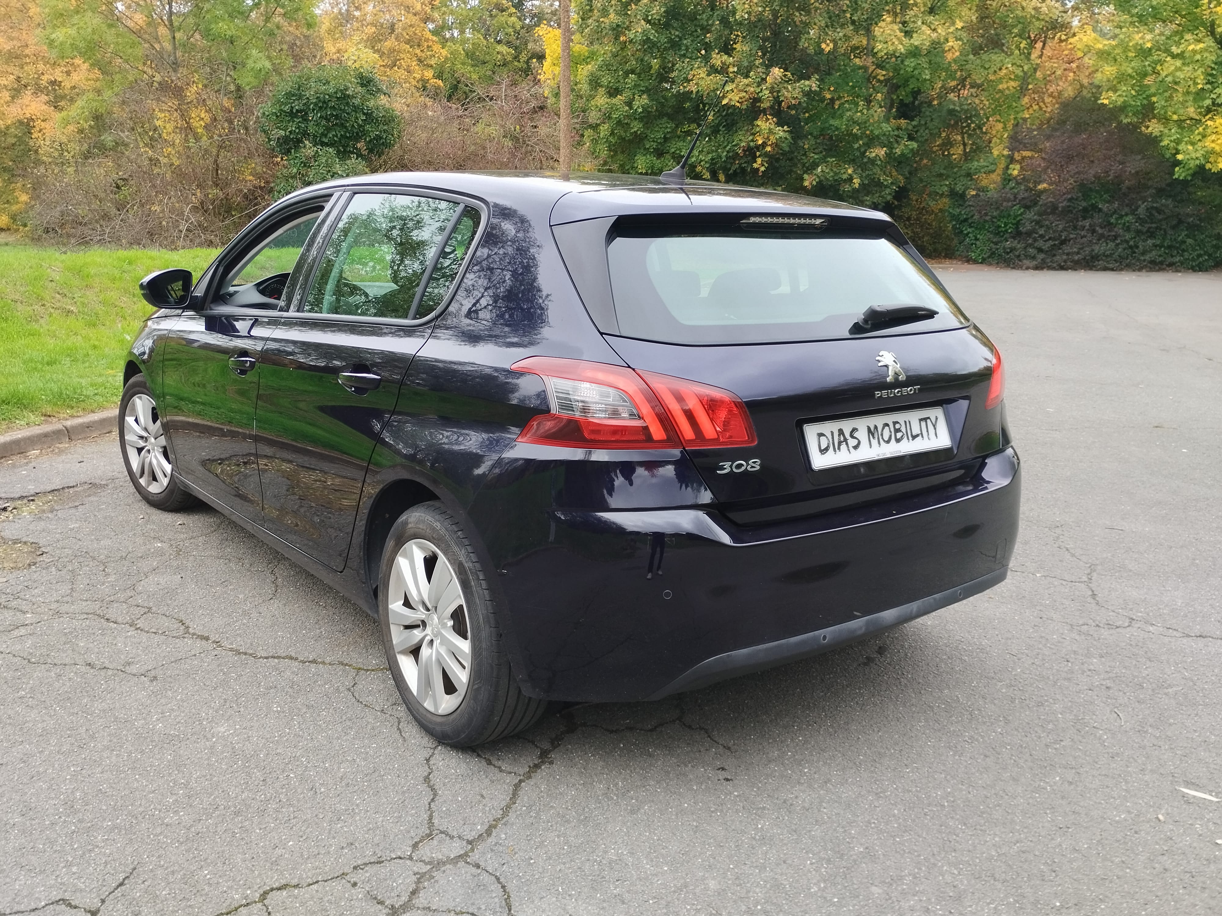 Peugeot 308 avec Régulateur de vitesse