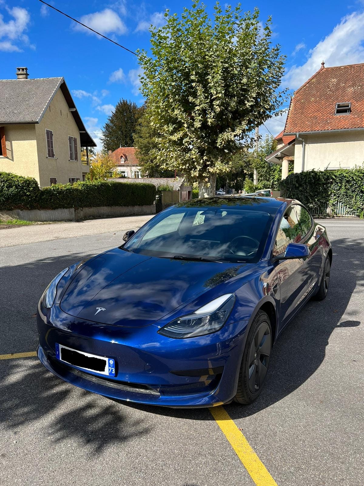 Tesla Model 3 Standard Range, 2021, Électrique, automatique