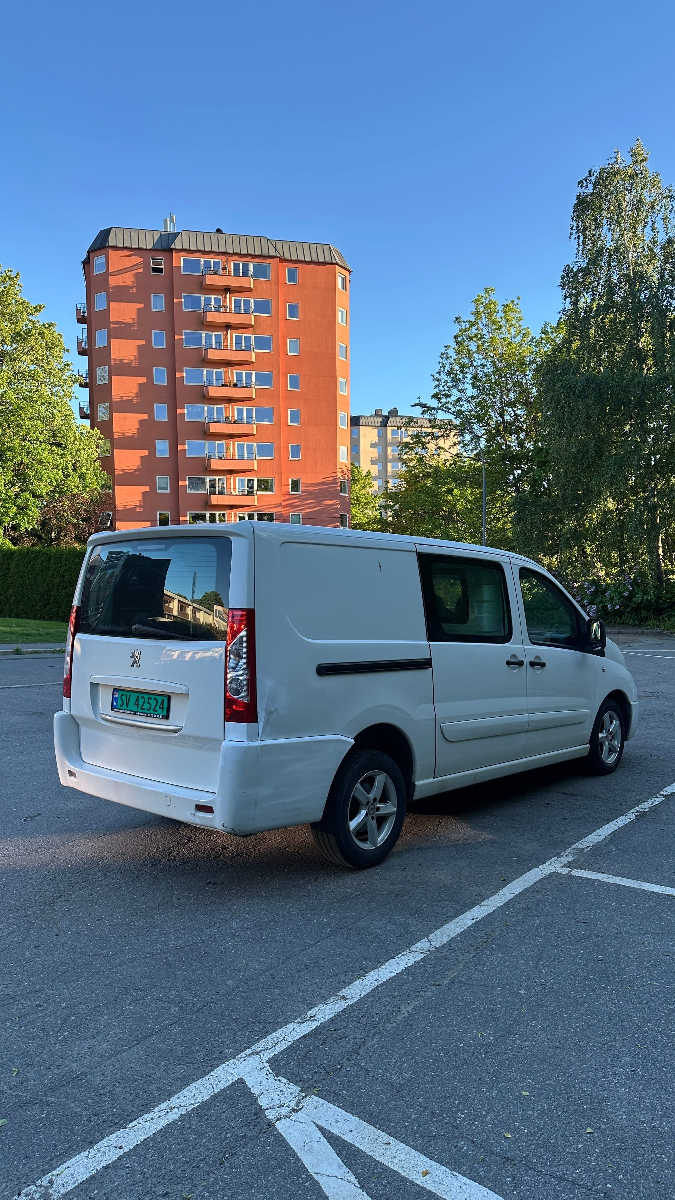 Peugeot Expert mit Winterreifen