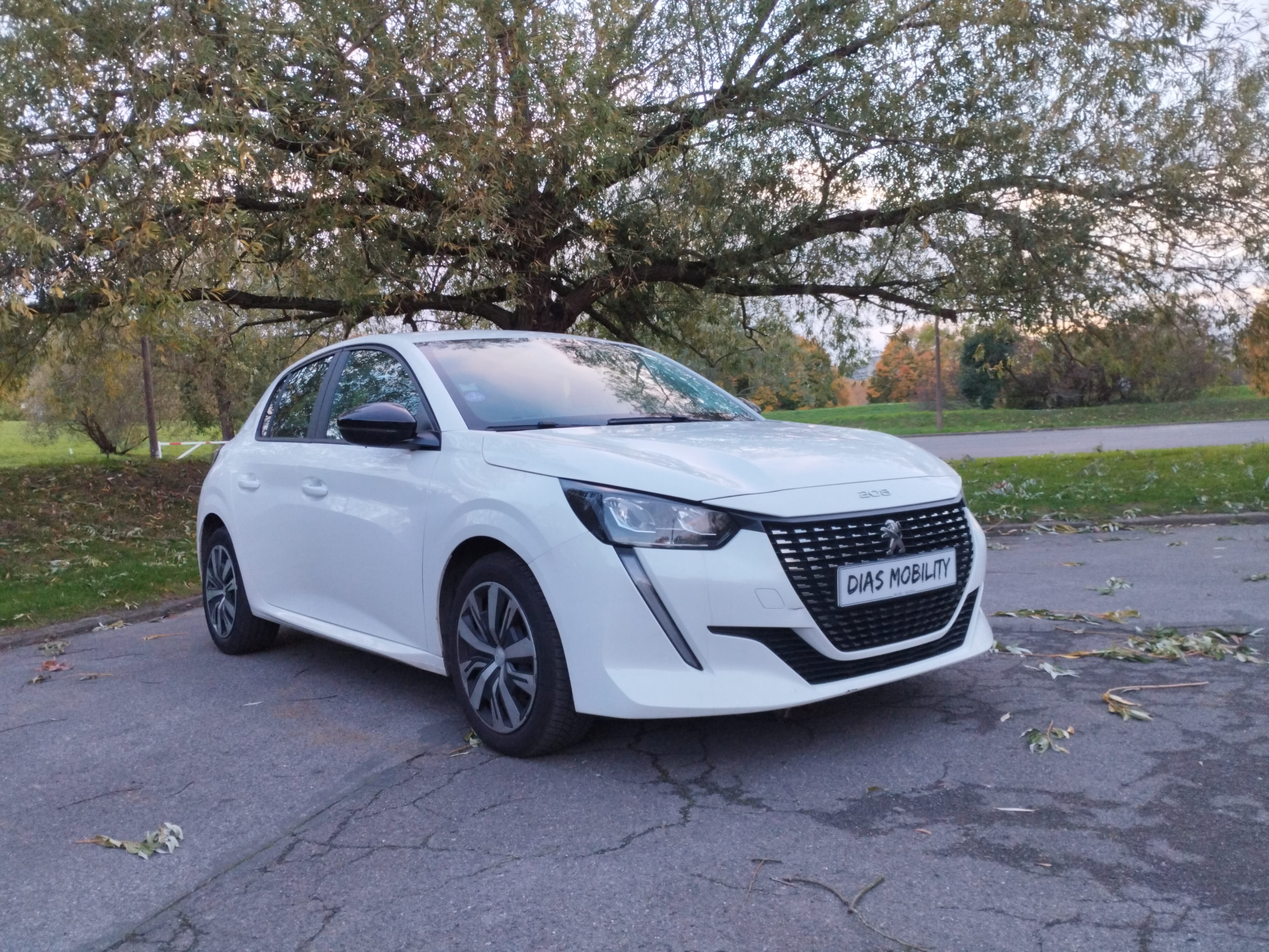 Peugeot 208, 2020, Essence 95