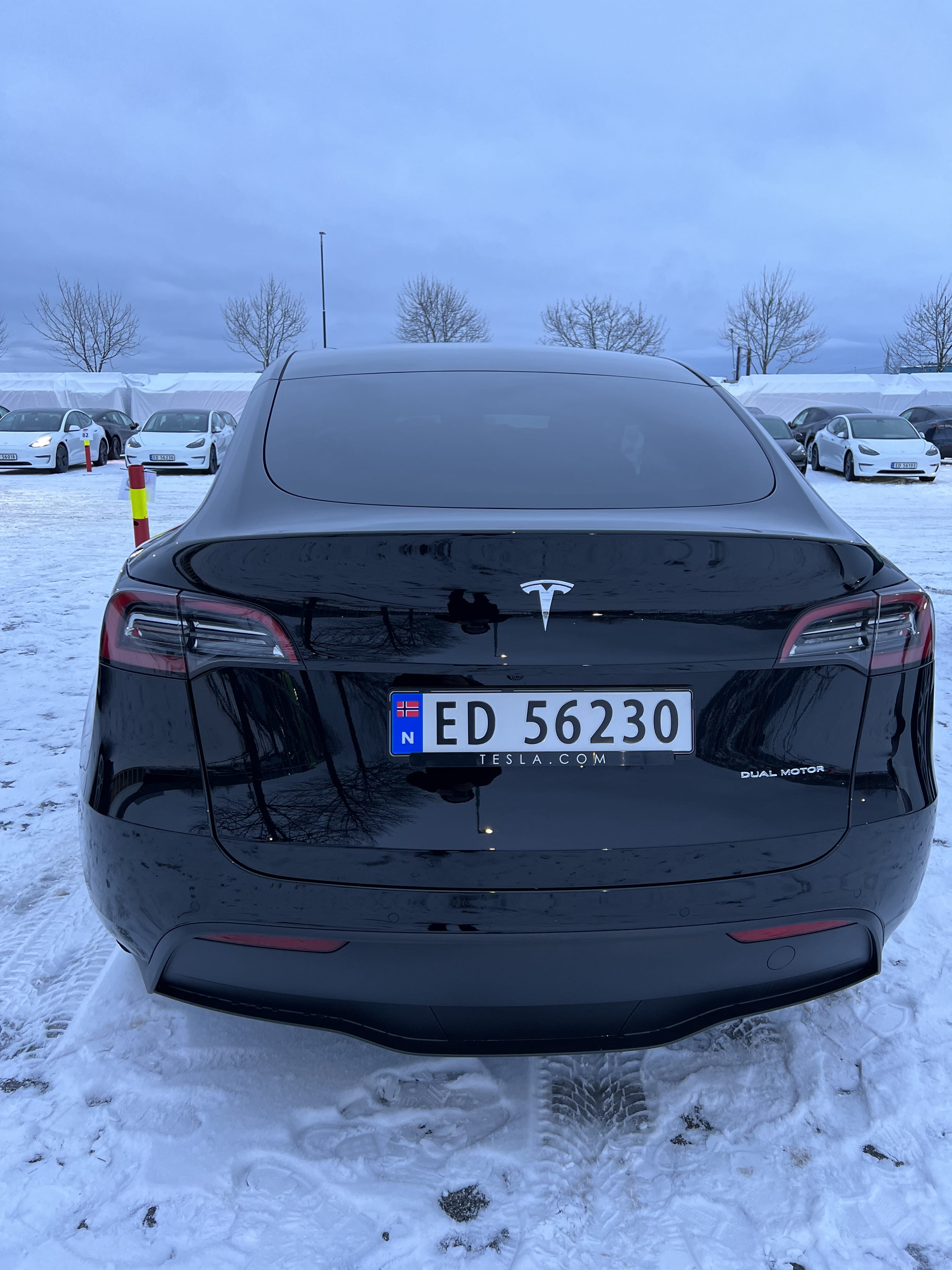 Tesla Model Y med GPS